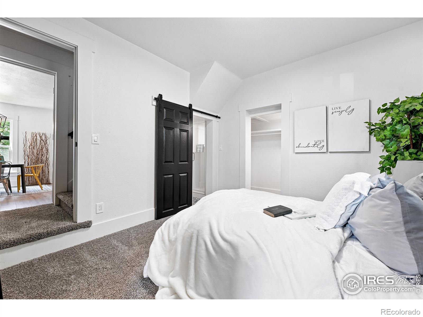 MLS Image #23 for 203 n jefferson avenue,loveland, Colorado