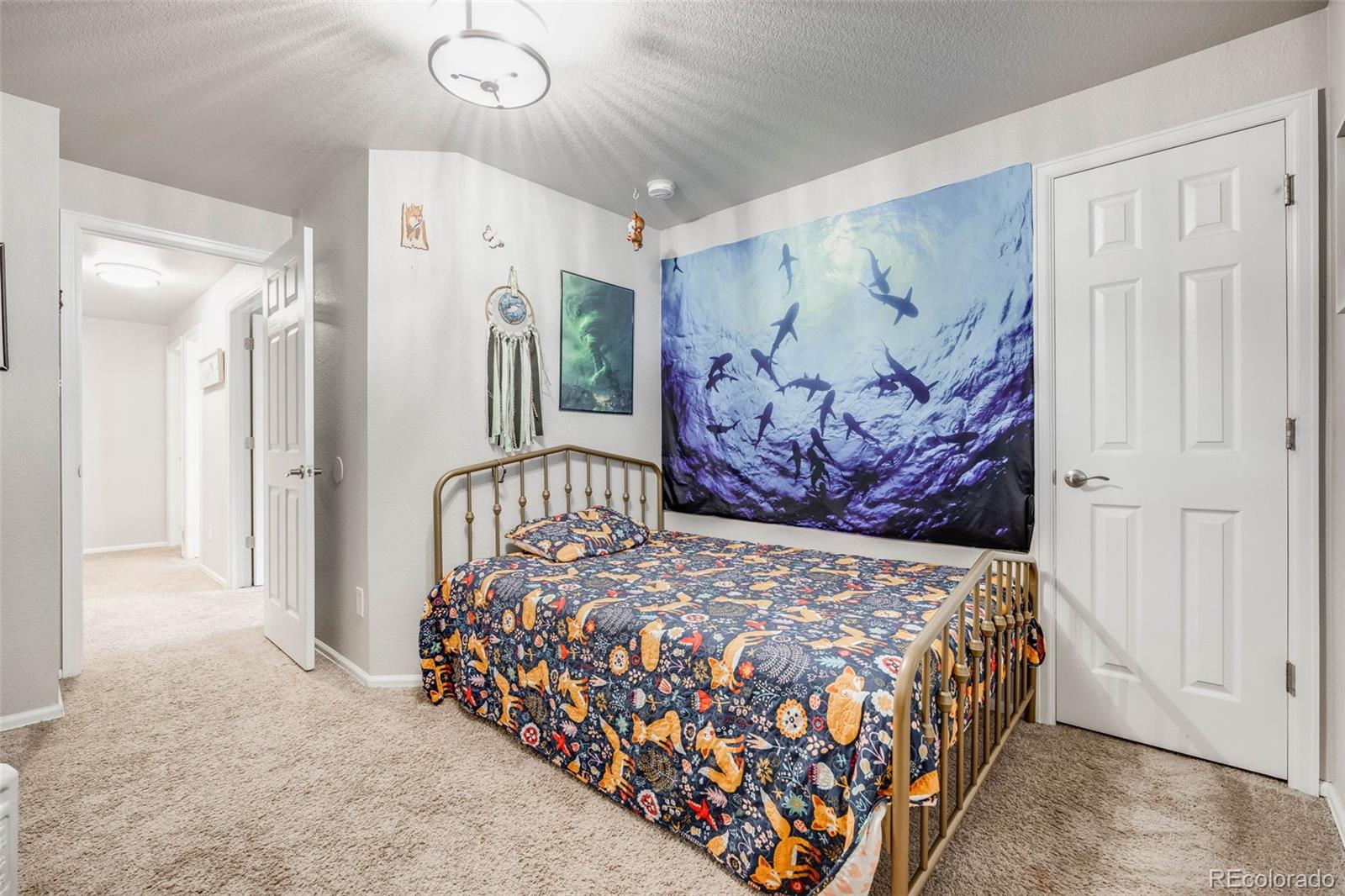 MLS Image #18 for 11727  oswego street,commerce city, Colorado