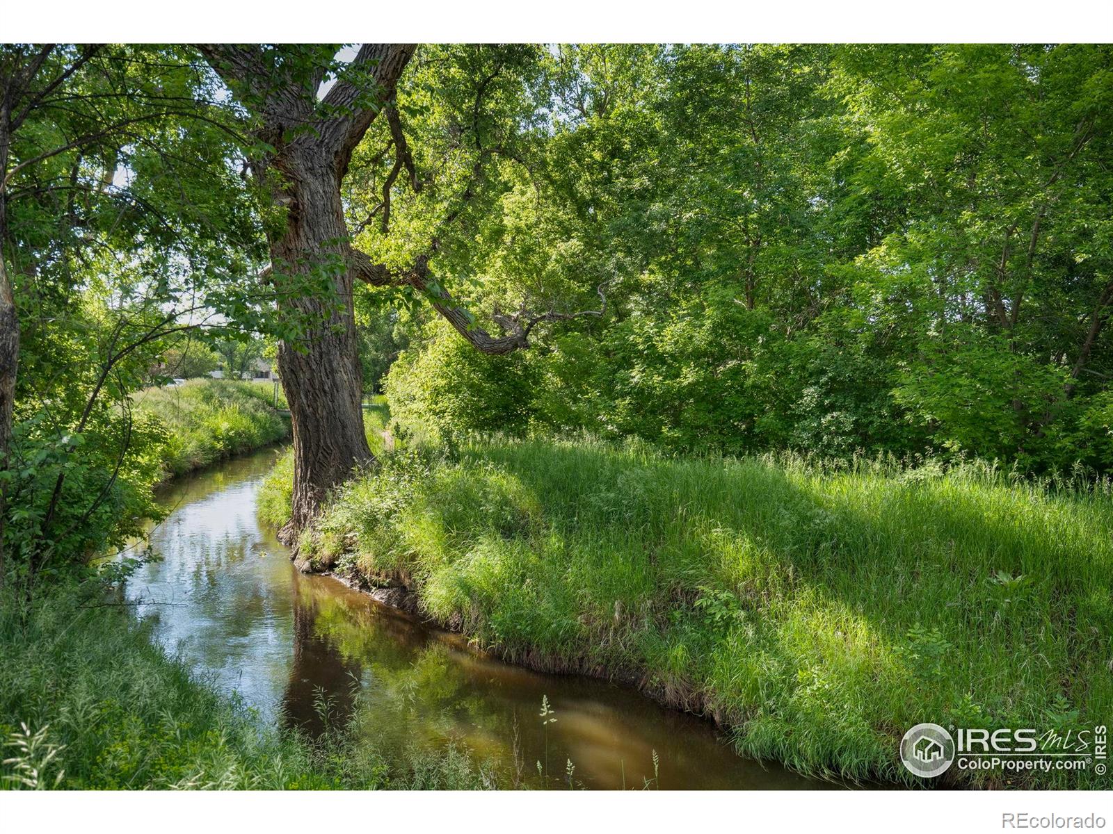 MLS Image #37 for 1638  foxbrook way,fort collins, Colorado