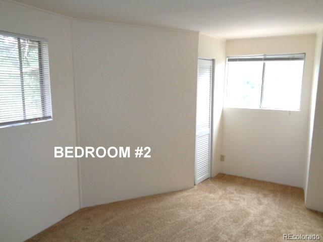 MLS Image #10 for 28127  knowles road,evergreen, Colorado