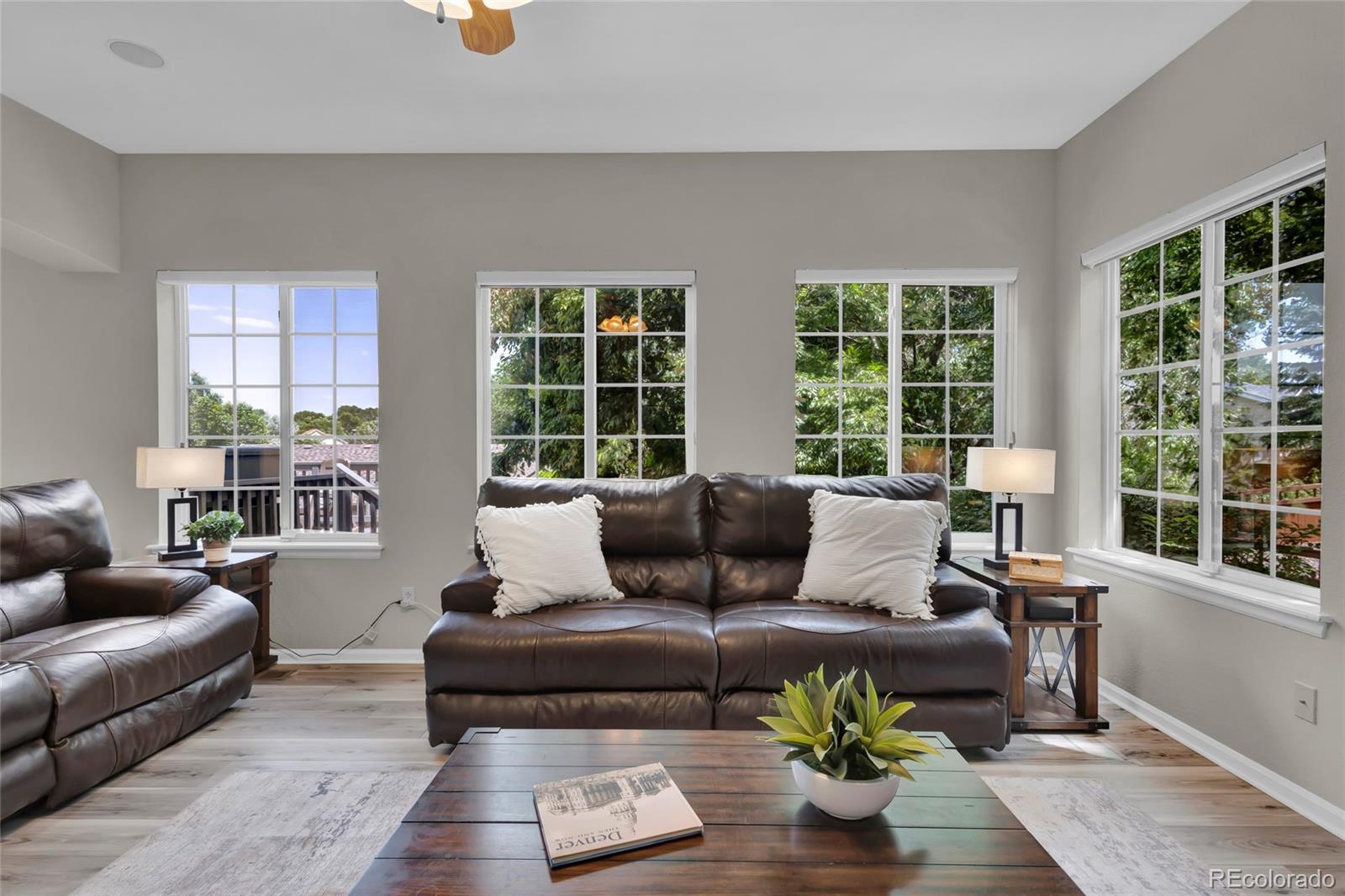 MLS Image #12 for 4678  springmeadow lane,castle rock, Colorado