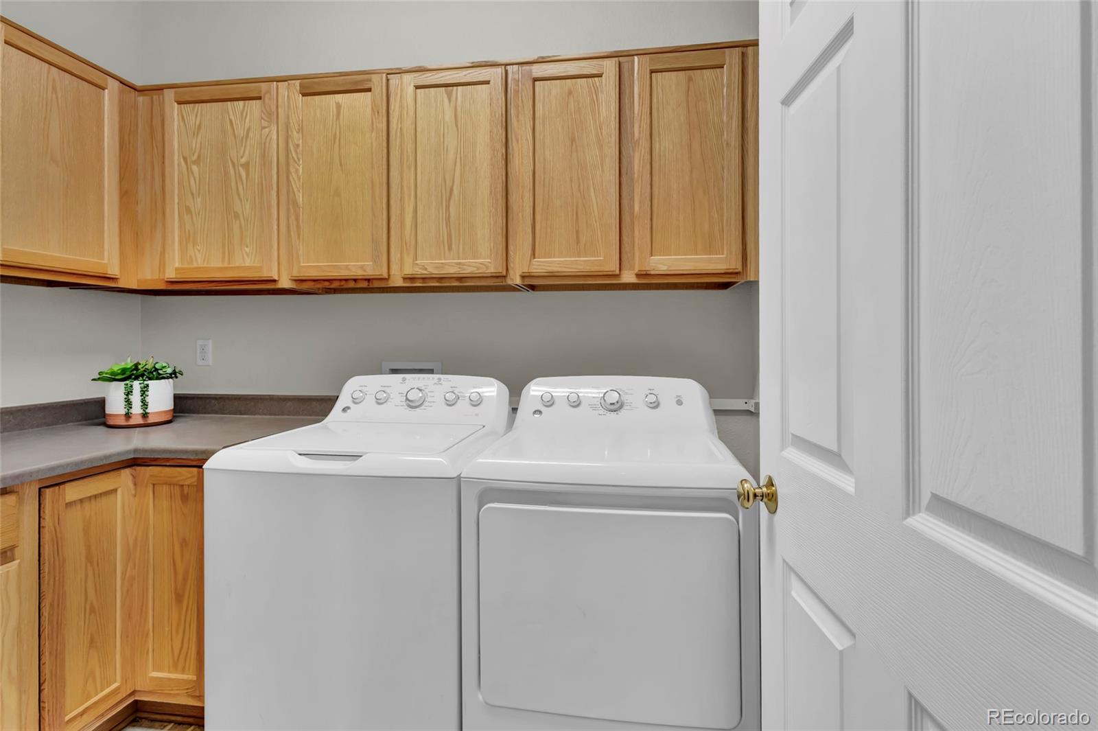 MLS Image #15 for 4678  springmeadow lane,castle rock, Colorado