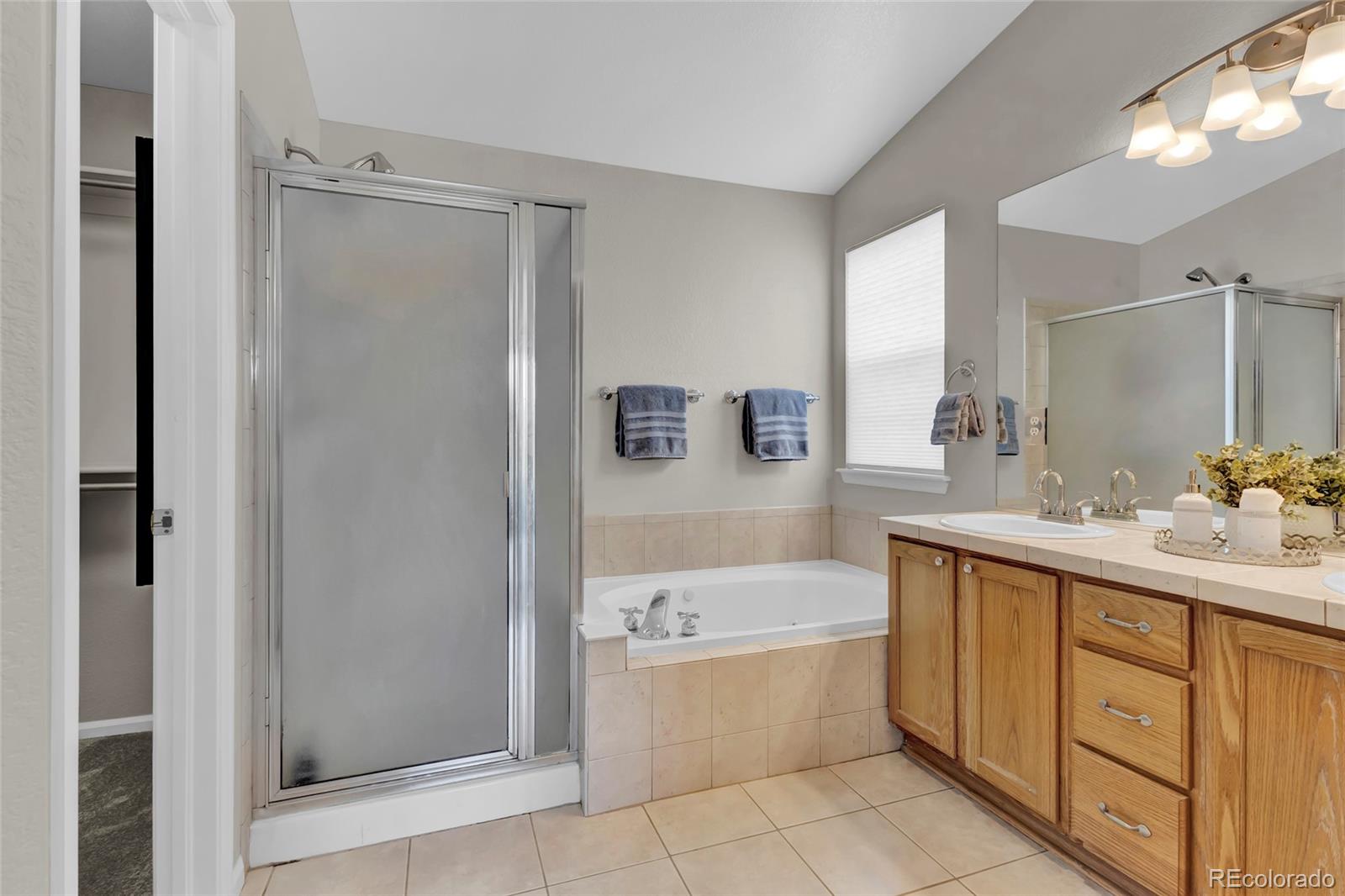 MLS Image #23 for 4678  springmeadow lane,castle rock, Colorado