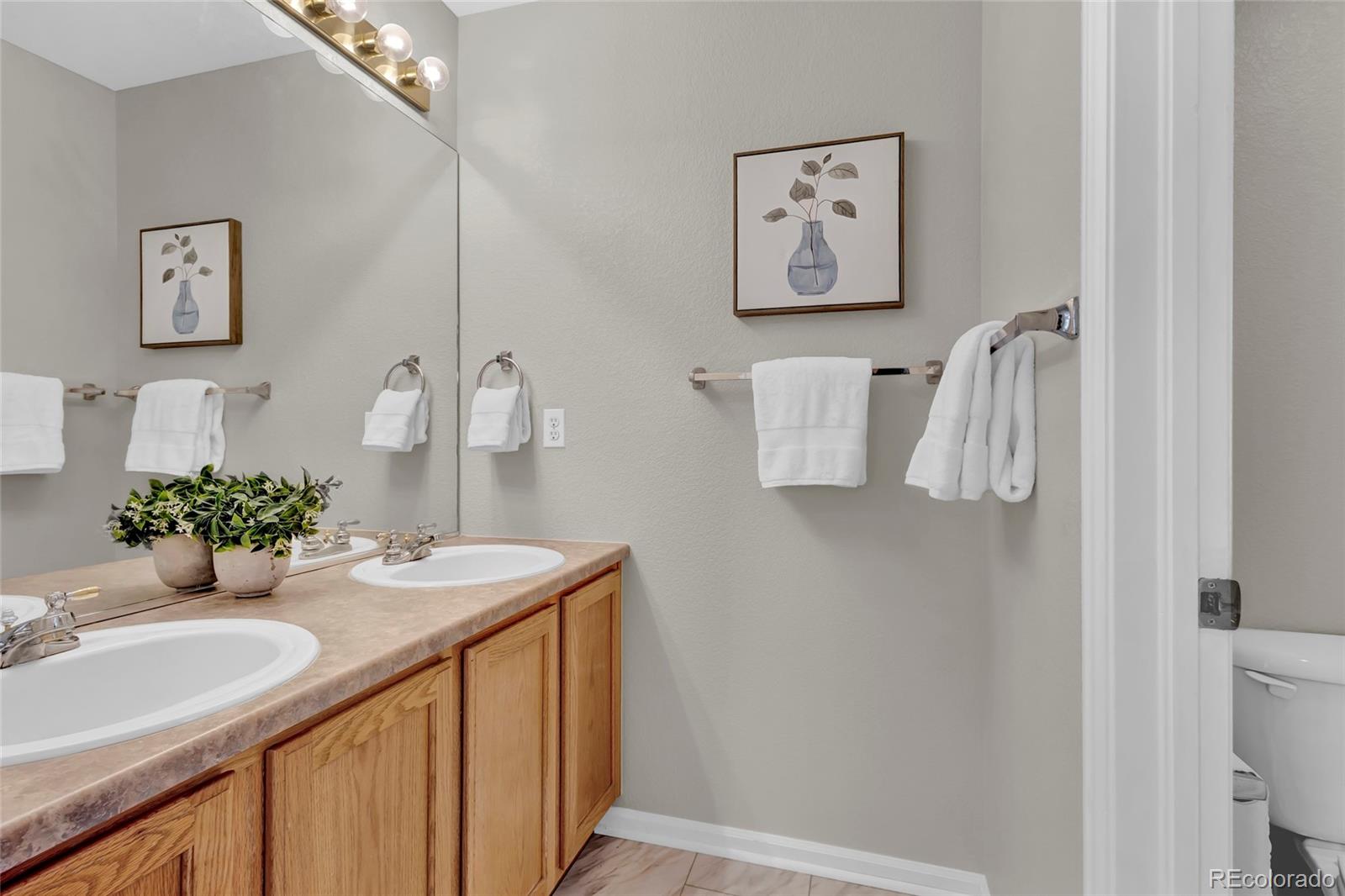 MLS Image #29 for 4678  springmeadow lane,castle rock, Colorado