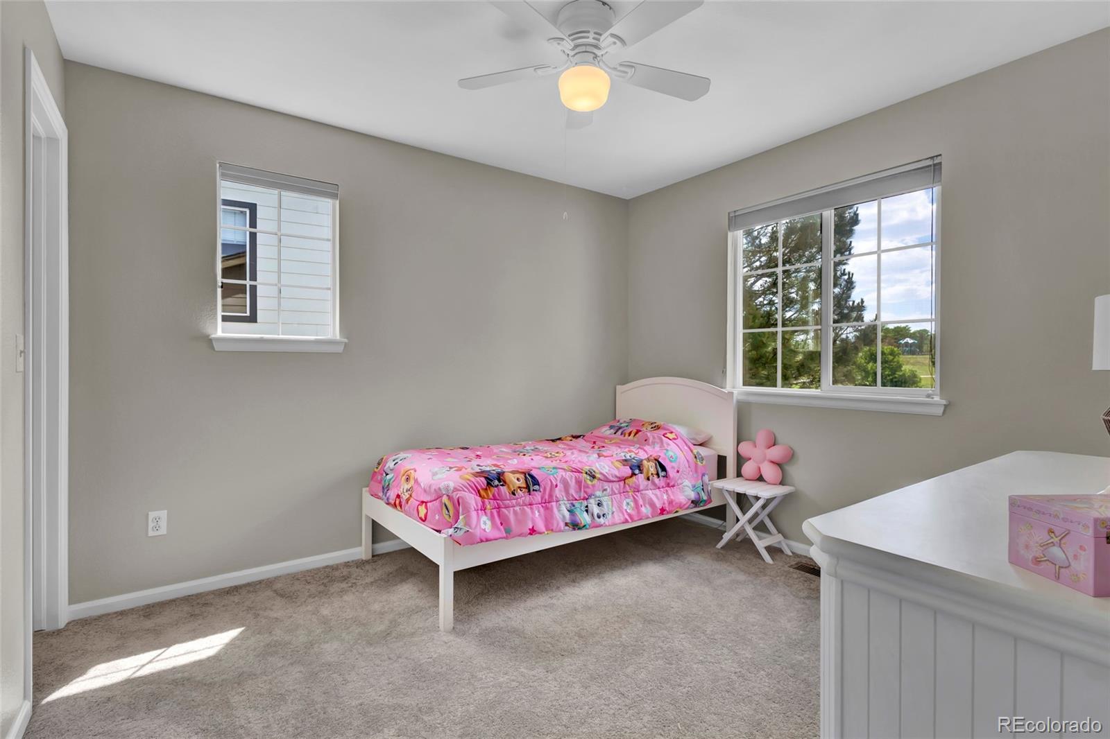 MLS Image #30 for 4678  springmeadow lane,castle rock, Colorado