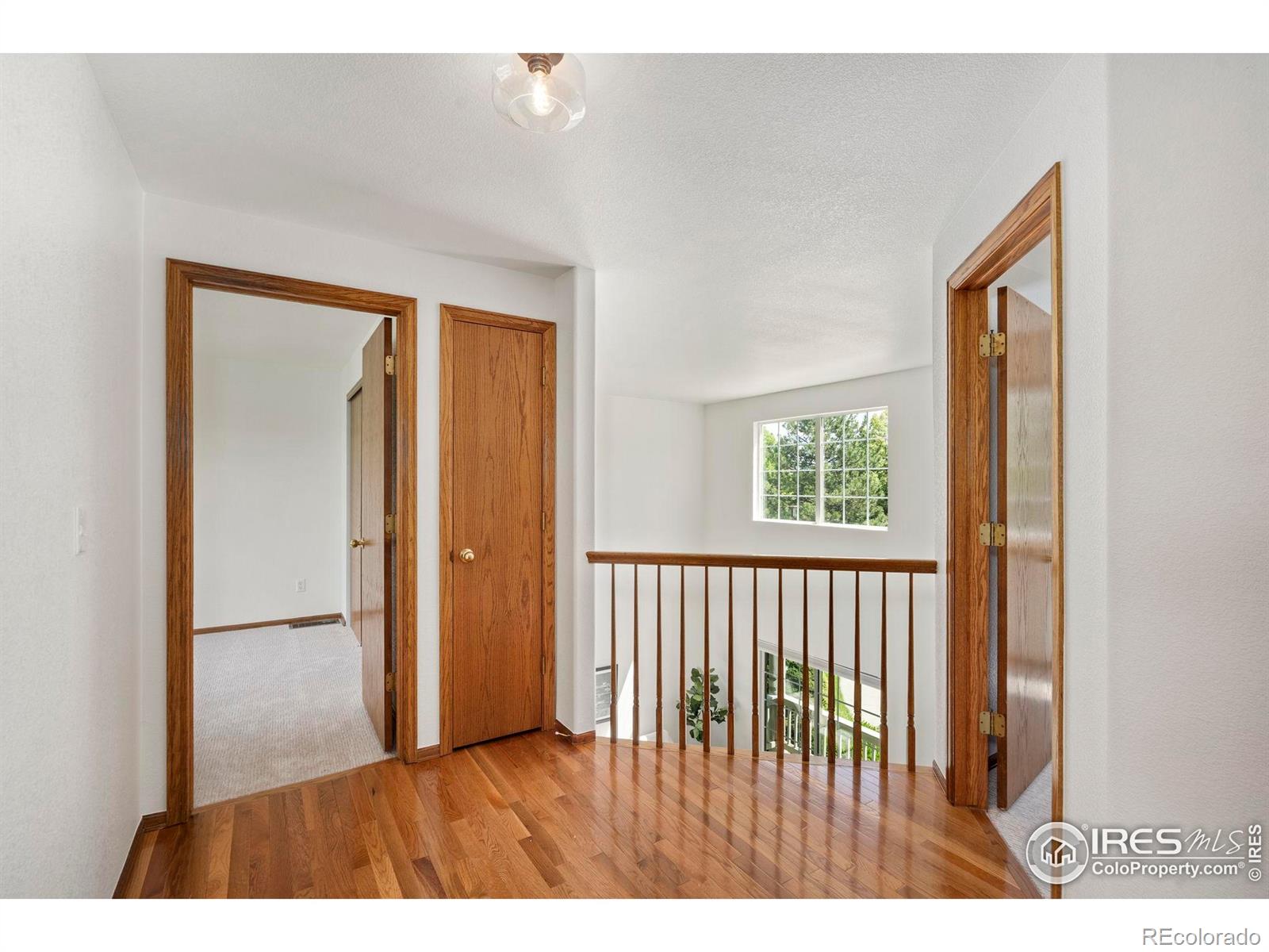 MLS Image #23 for 7015  avondale road,fort collins, Colorado