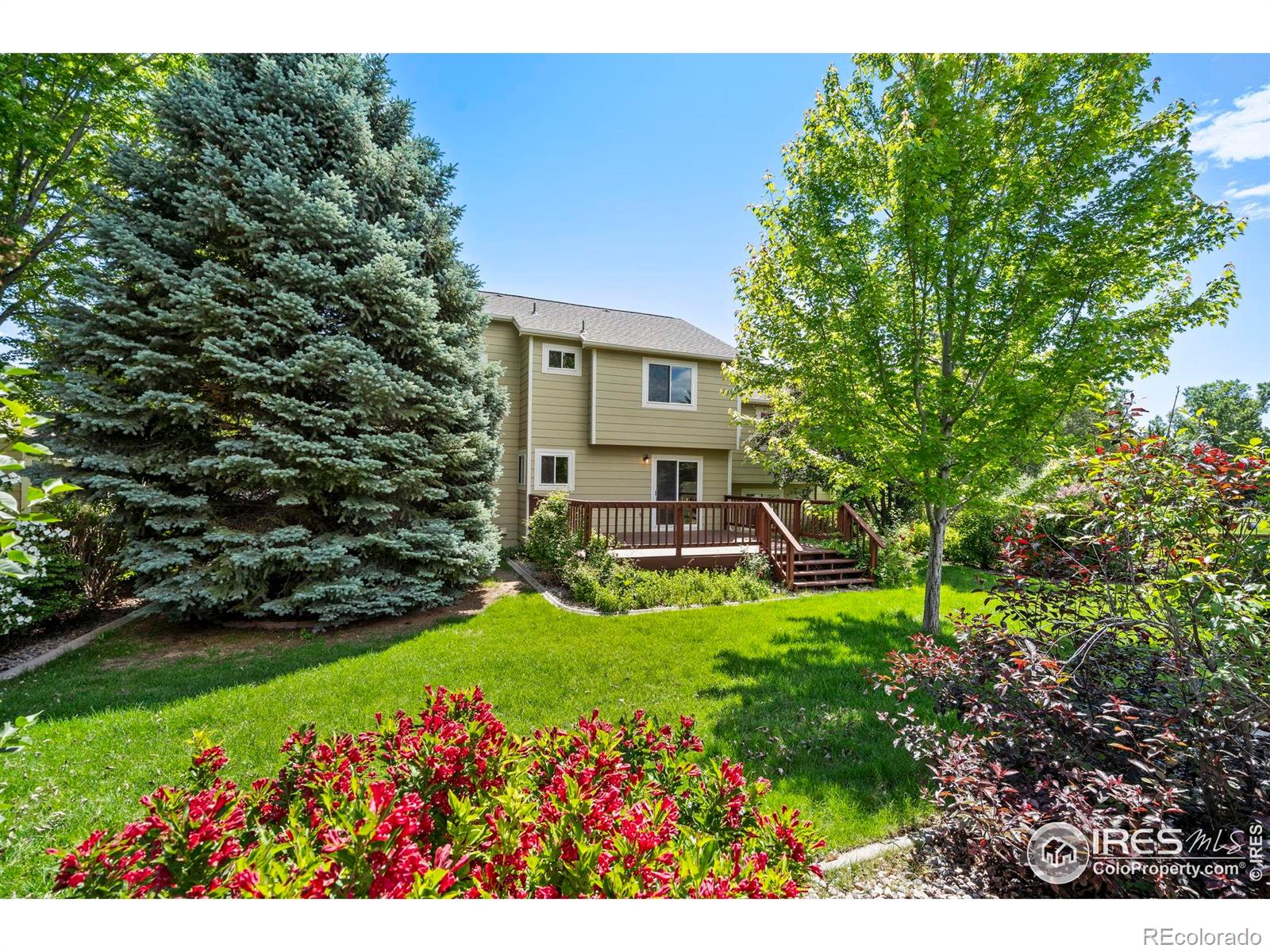 MLS Image #34 for 7015  avondale road,fort collins, Colorado