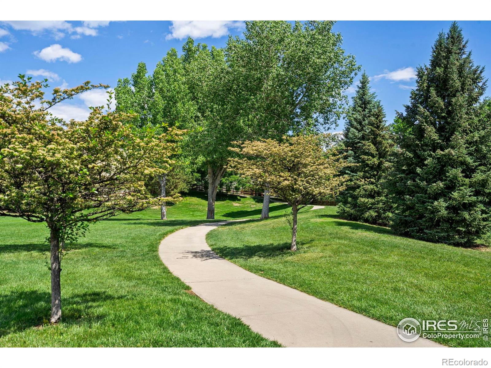 MLS Image #37 for 7015  avondale road,fort collins, Colorado