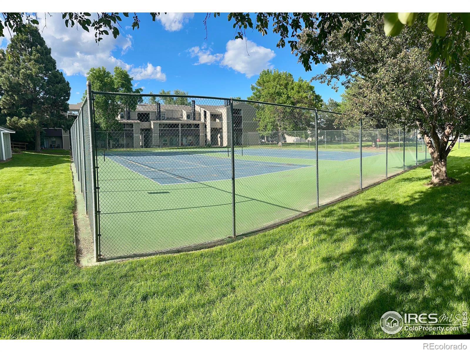MLS Image #5 for 512 e monroe drive,fort collins, Colorado