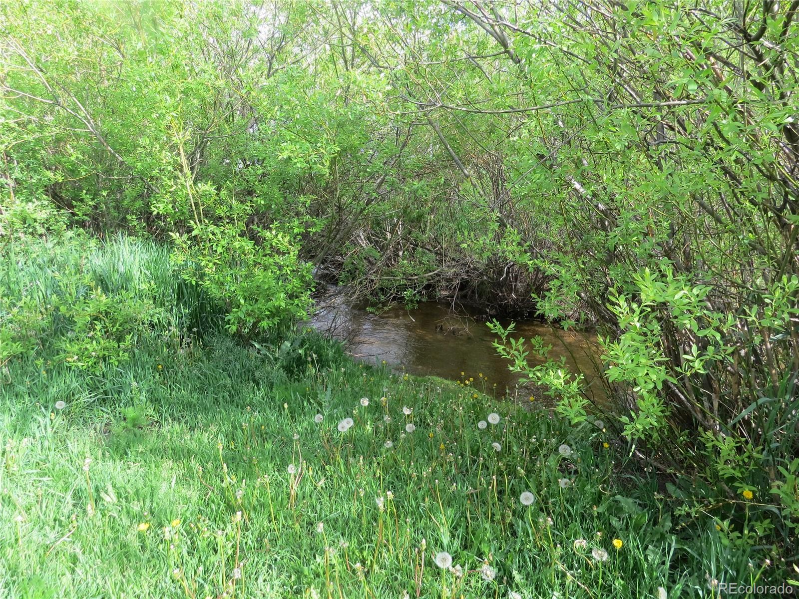 MLS Image #32 for 135 e 2nd street,nederland, Colorado