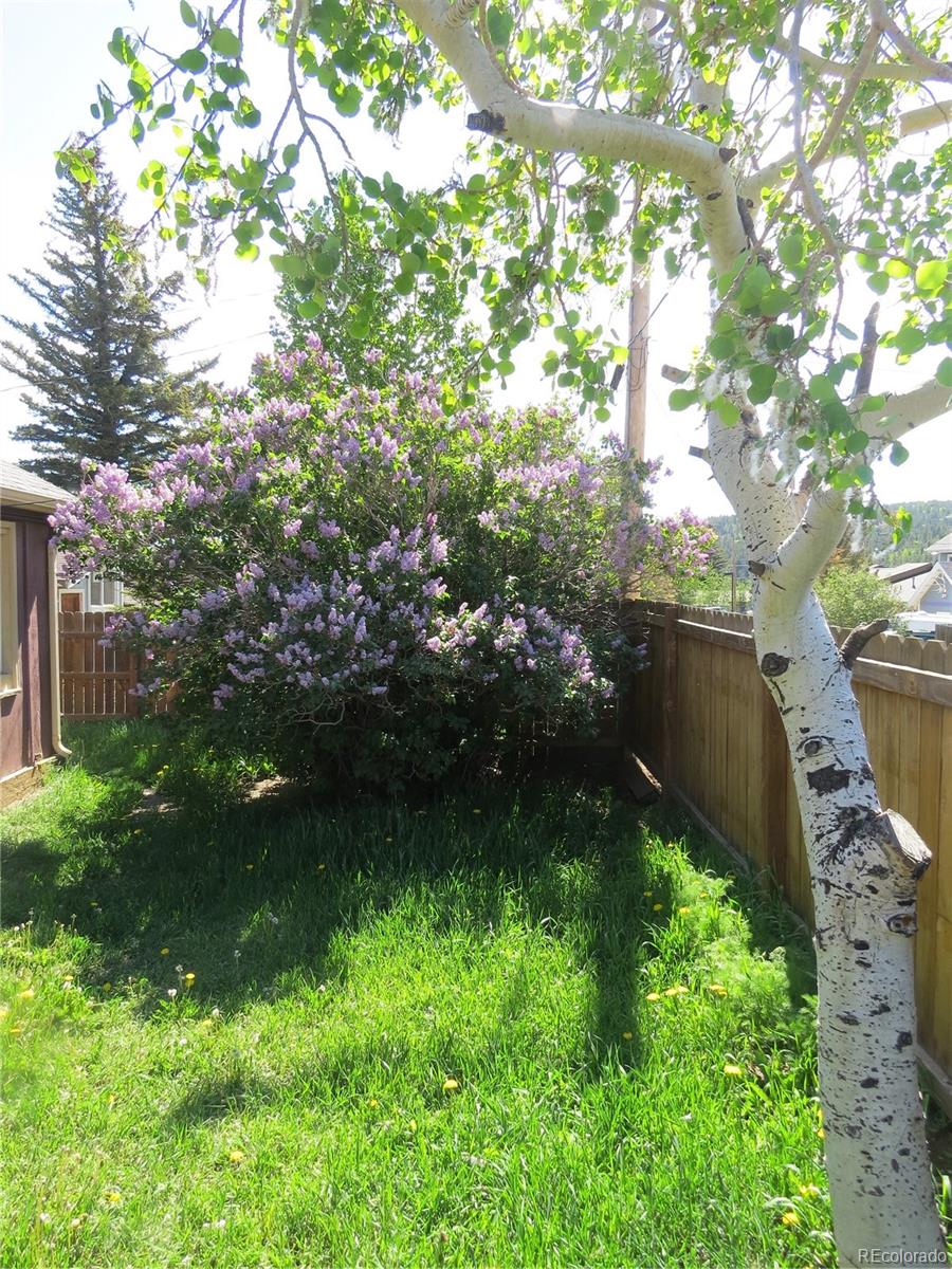 MLS Image #7 for 135 e 2nd street,nederland, Colorado