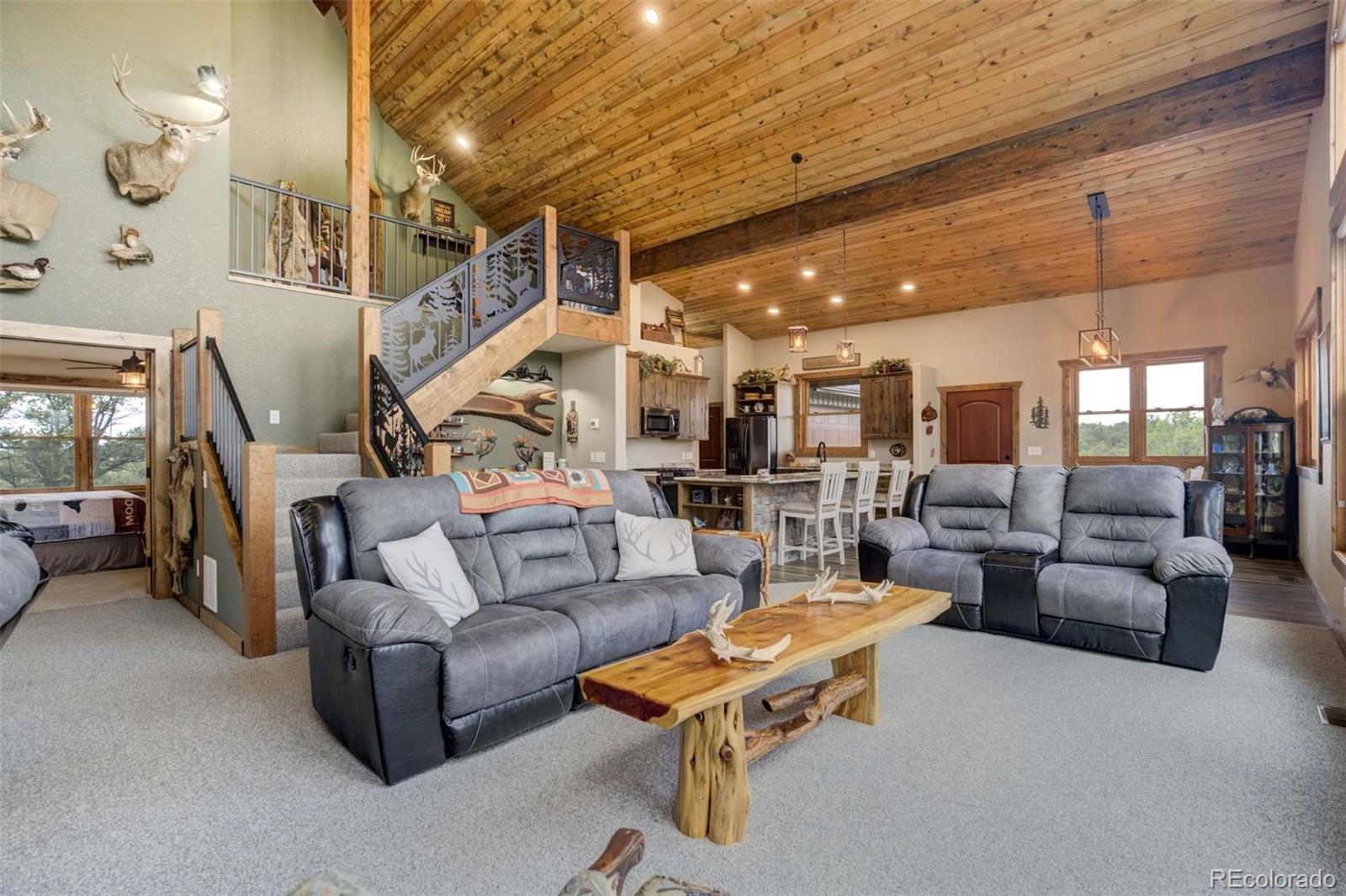MLS Image #13 for 1310  sunrise ridge,cotopaxi, Colorado