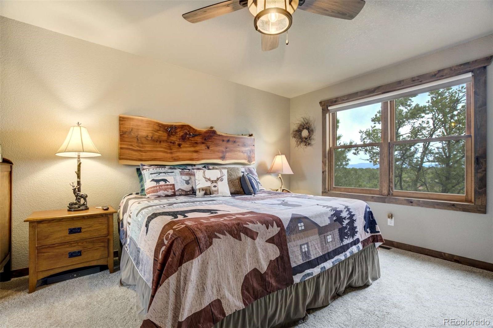 MLS Image #15 for 1310  sunrise ridge,cotopaxi, Colorado