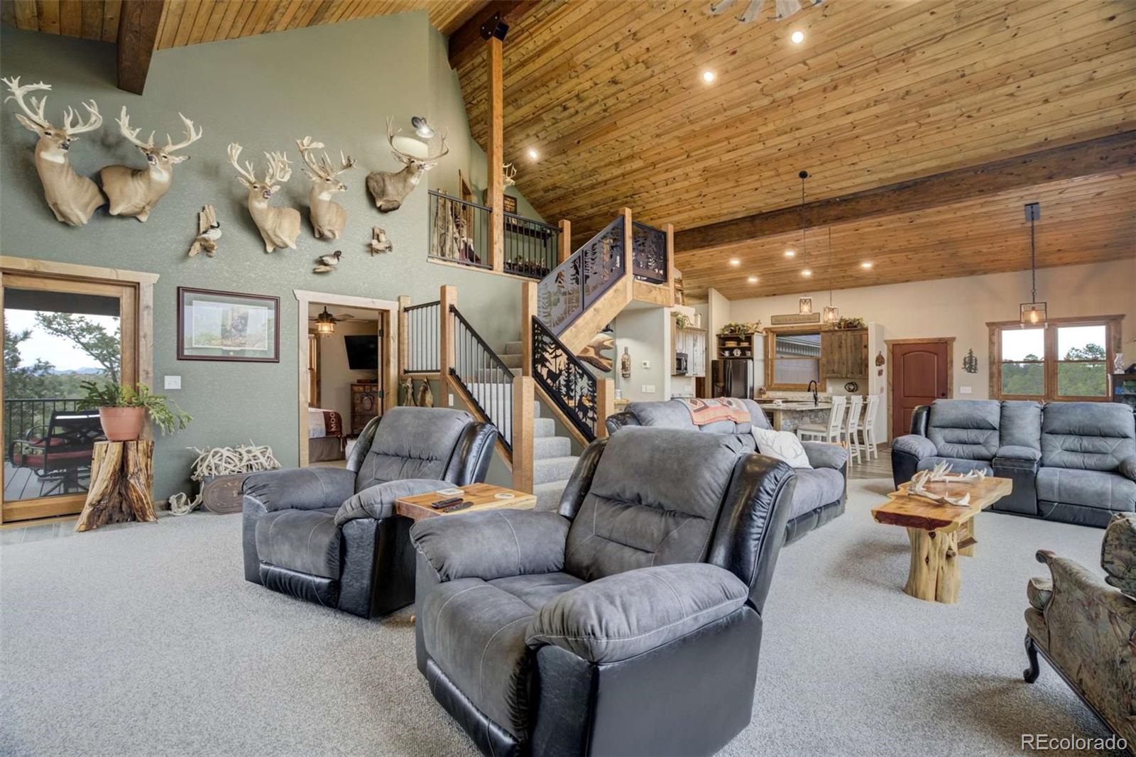 MLS Image #19 for 1310  sunrise ridge,cotopaxi, Colorado