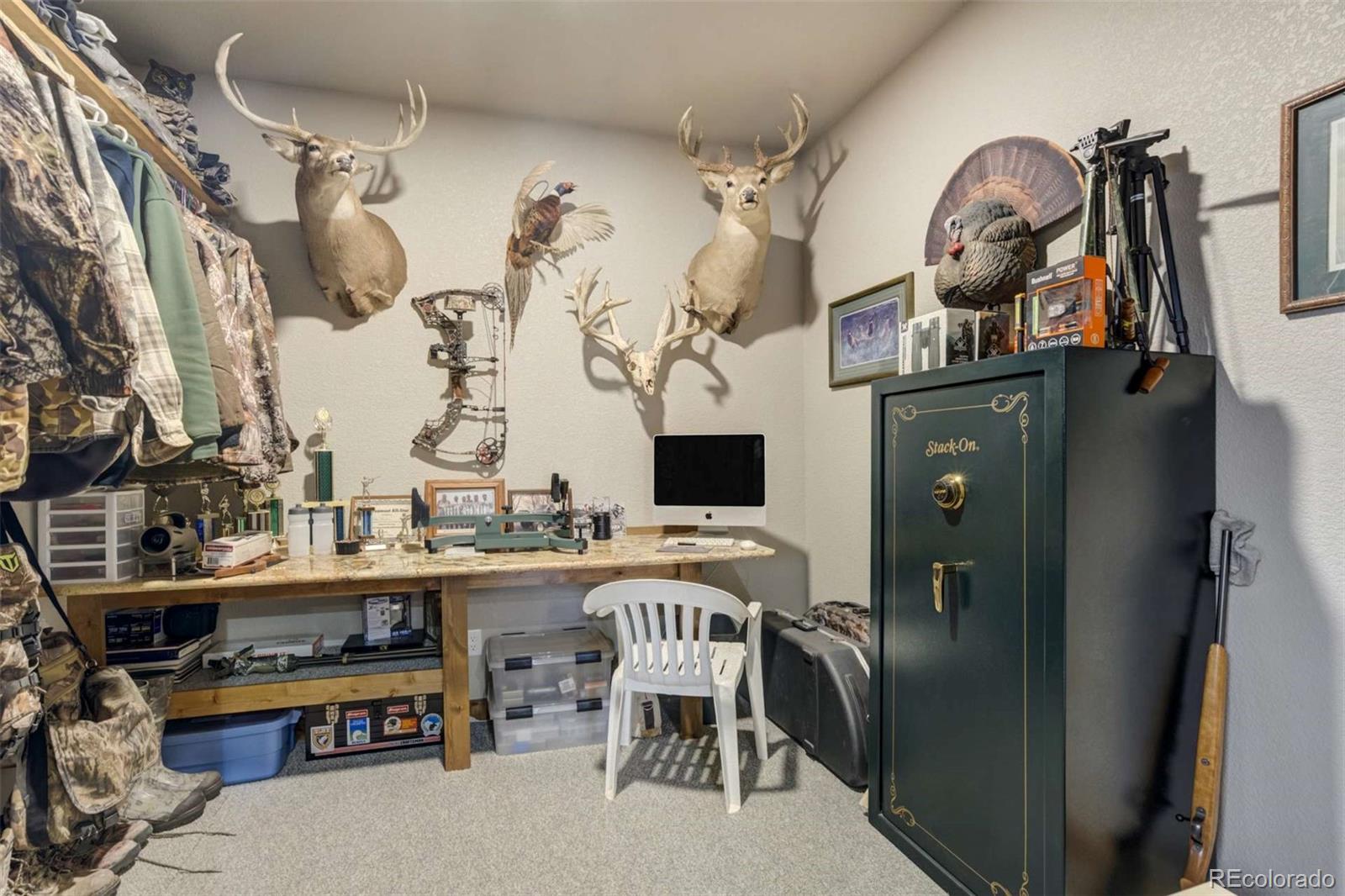 MLS Image #26 for 1310  sunrise ridge,cotopaxi, Colorado