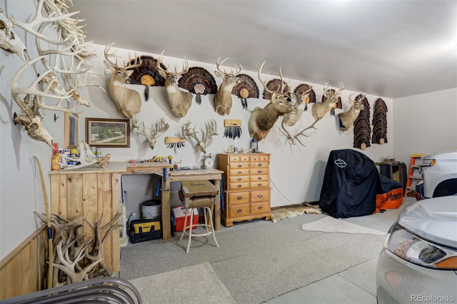 MLS Image #33 for 1310  sunrise ridge,cotopaxi, Colorado