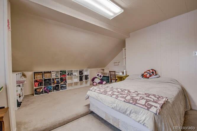 MLS Image #20 for 206  chestnut street,leadville, Colorado