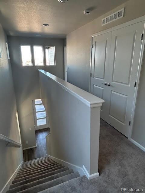 MLS Image #4 for 7360  watercress drive,littleton, Colorado