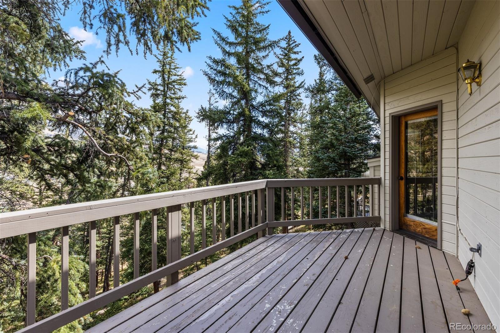MLS Image #22 for 142  high meadow drive,dillon, Colorado