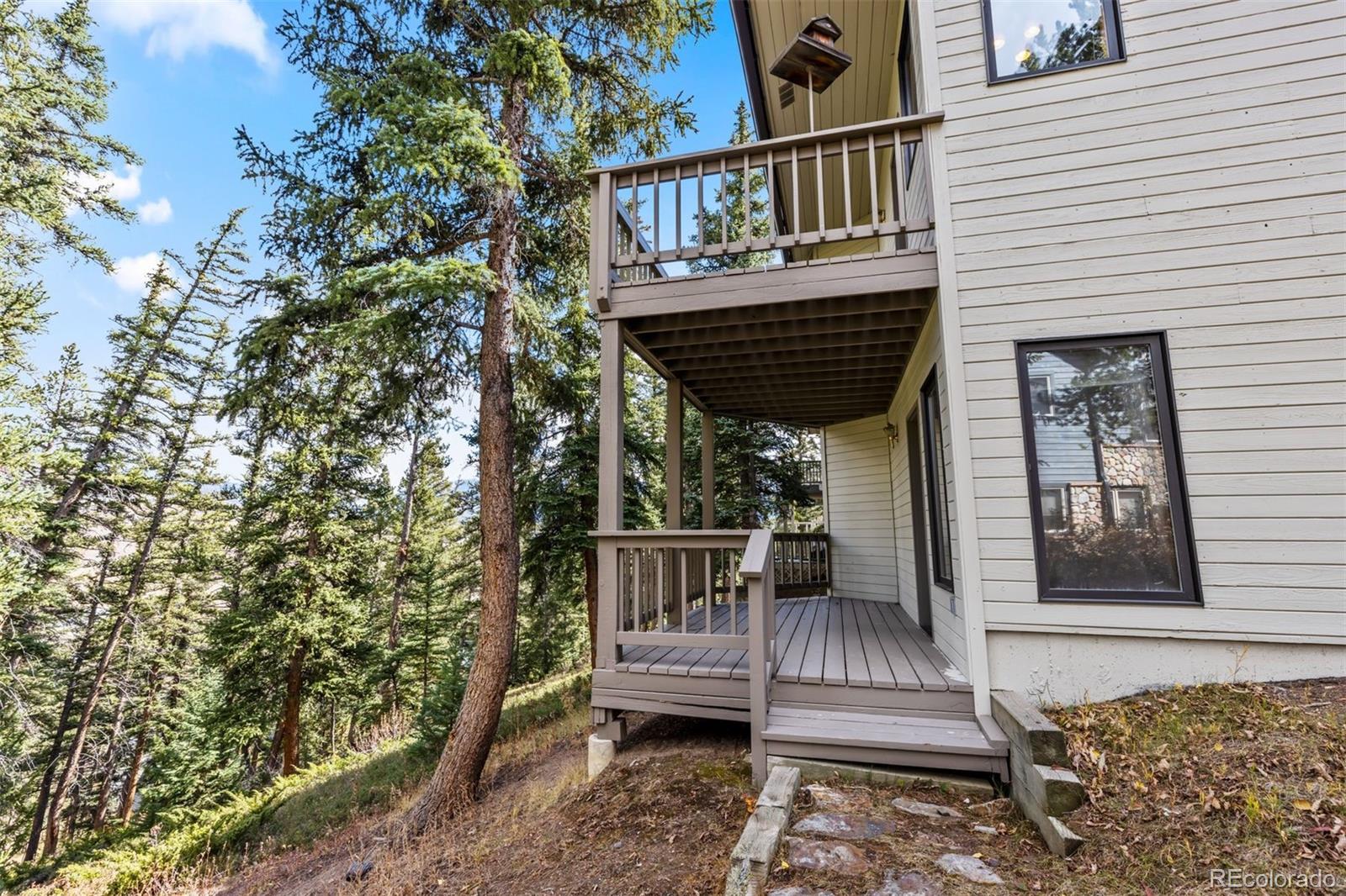 MLS Image #23 for 142  high meadow drive,dillon, Colorado
