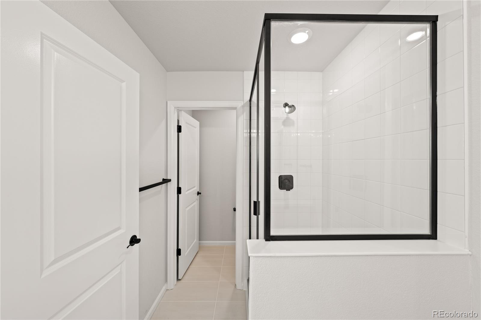 MLS Image #17 for 8777  whiteclover street,littleton, Colorado