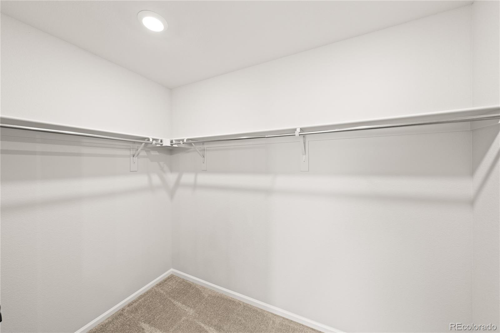 MLS Image #19 for 8777  whiteclover street,littleton, Colorado