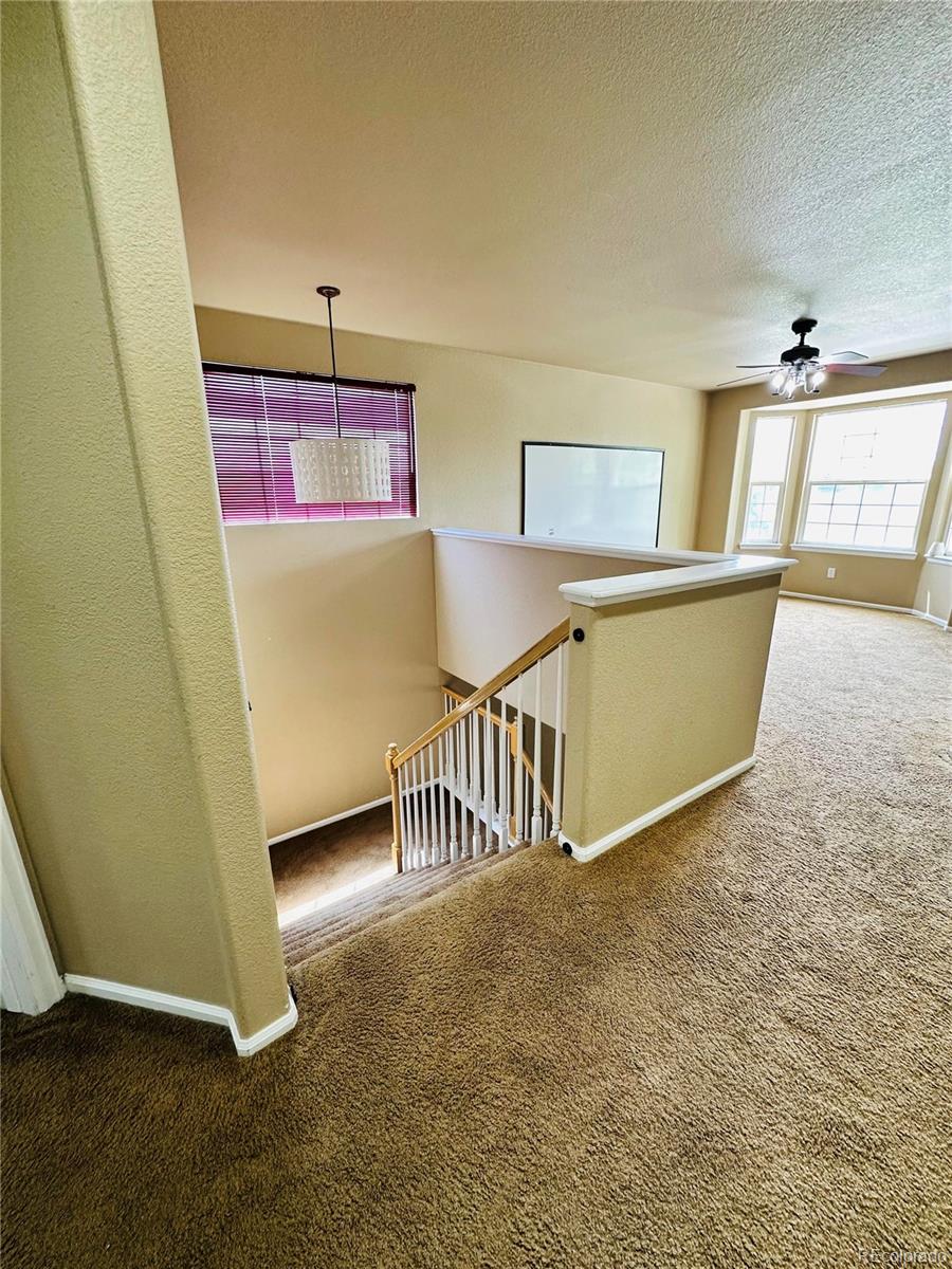 MLS Image #10 for 6102 s yampa street,aurora, Colorado