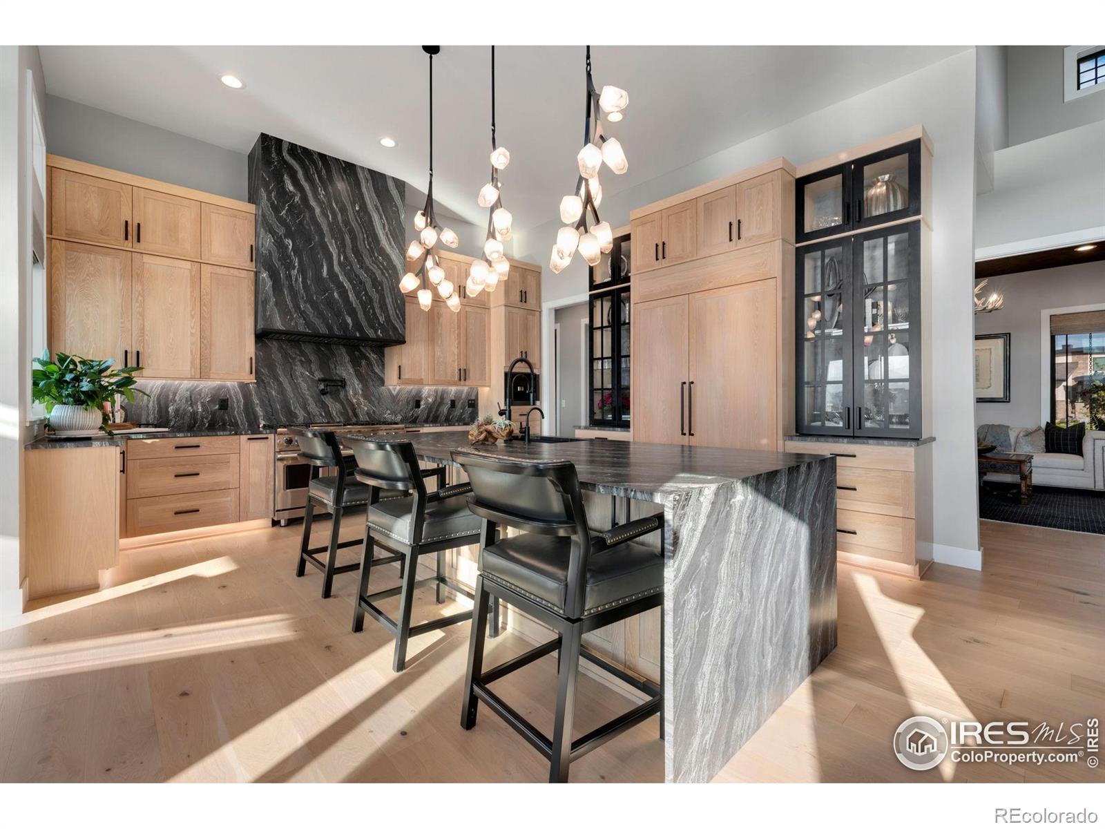 MLS Image #7 for 2659  heron lakes parkway,berthoud, Colorado