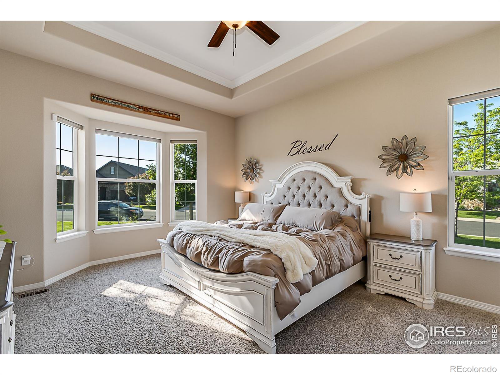 MLS Image #12 for 2050  vineyard drive,windsor, Colorado