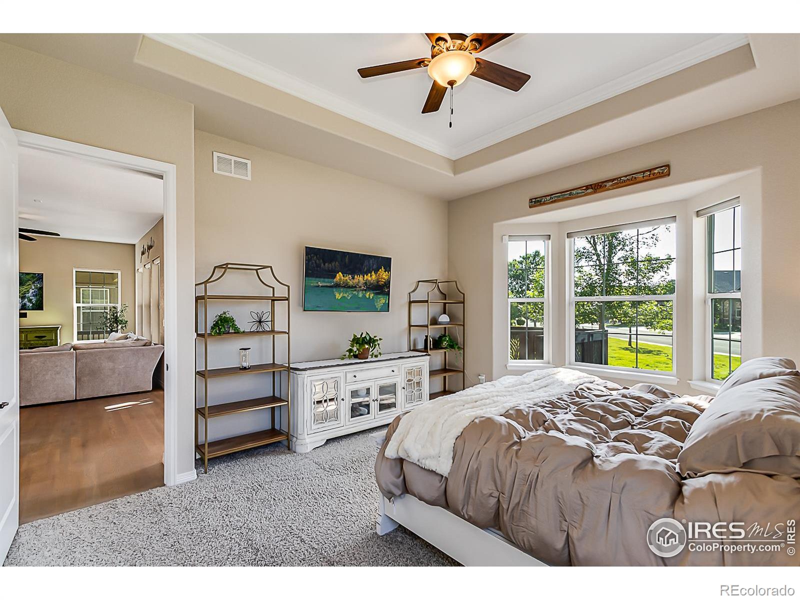 MLS Image #13 for 2050  vineyard drive,windsor, Colorado