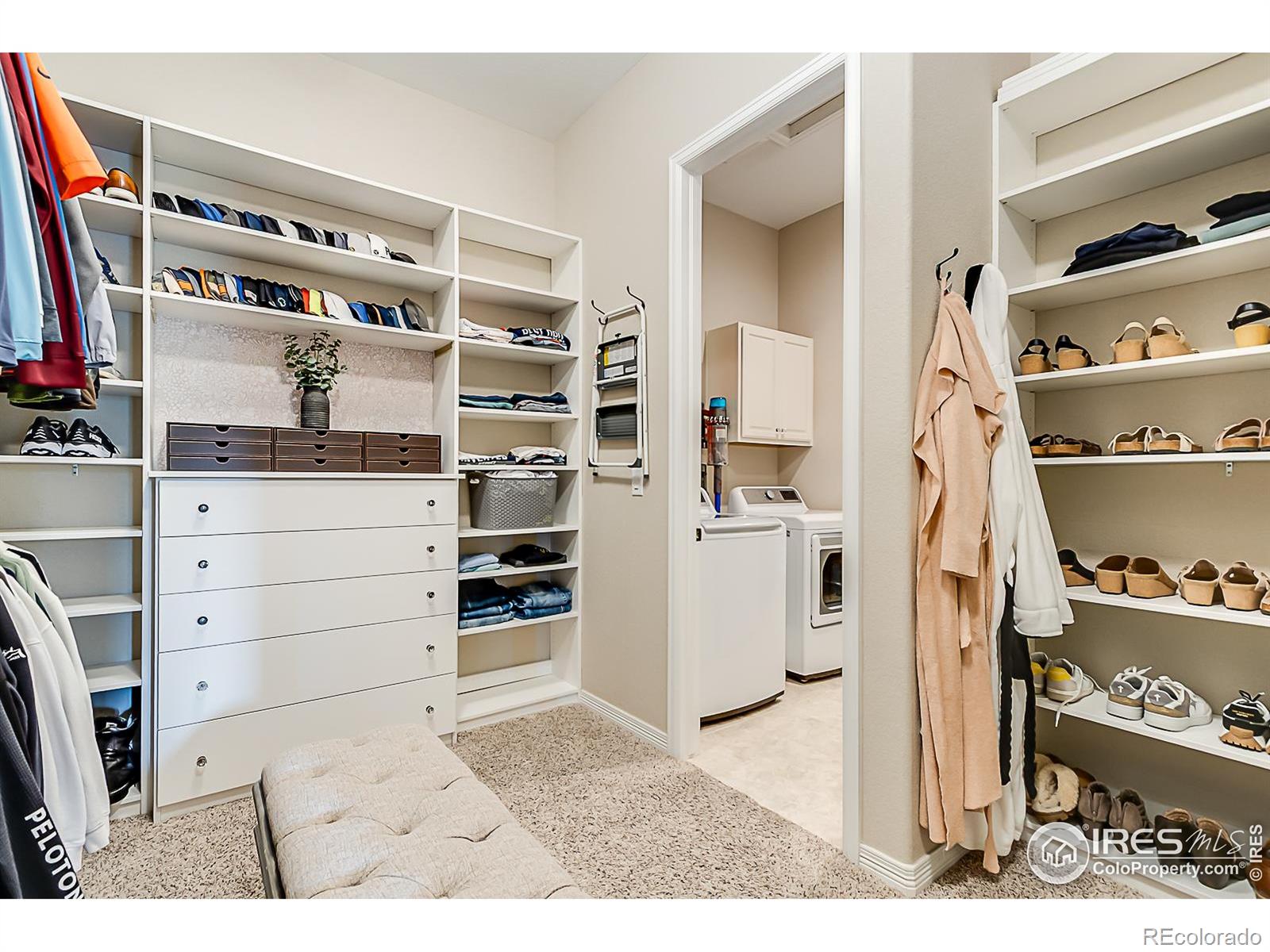 MLS Image #16 for 2050  vineyard drive,windsor, Colorado