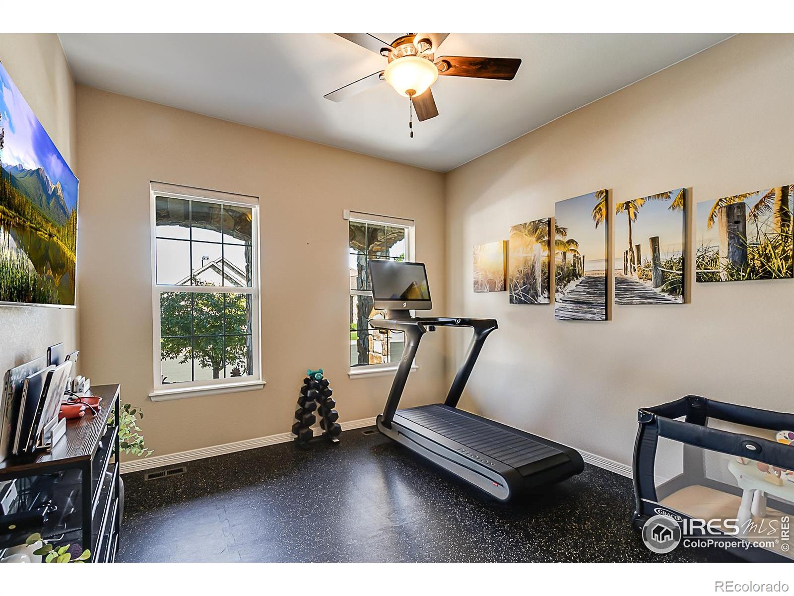 MLS Image #19 for 2050  vineyard drive,windsor, Colorado