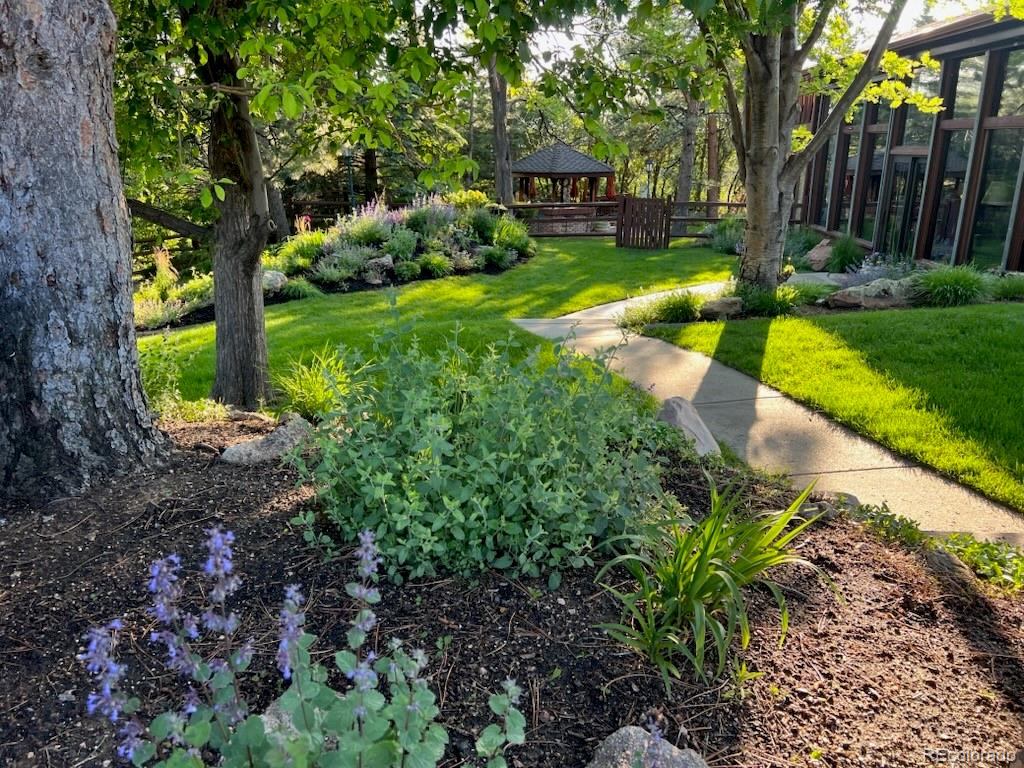 MLS Image #30 for 559 e 2nd avenue,castle rock, Colorado