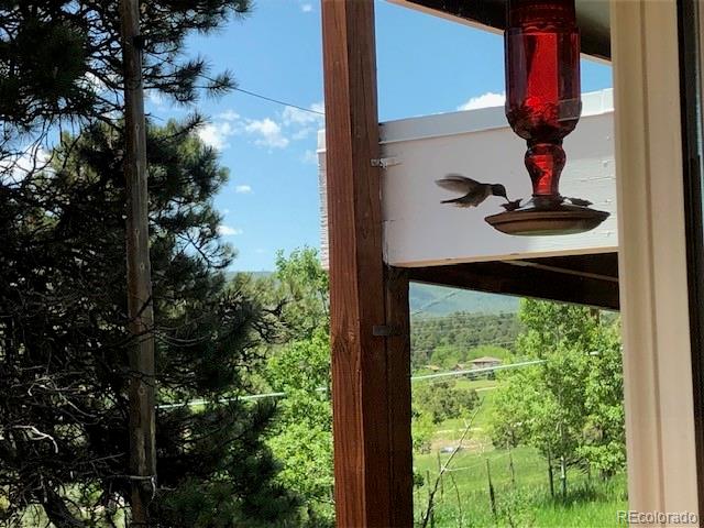 MLS Image #41 for 25694  stansbery street,conifer, Colorado