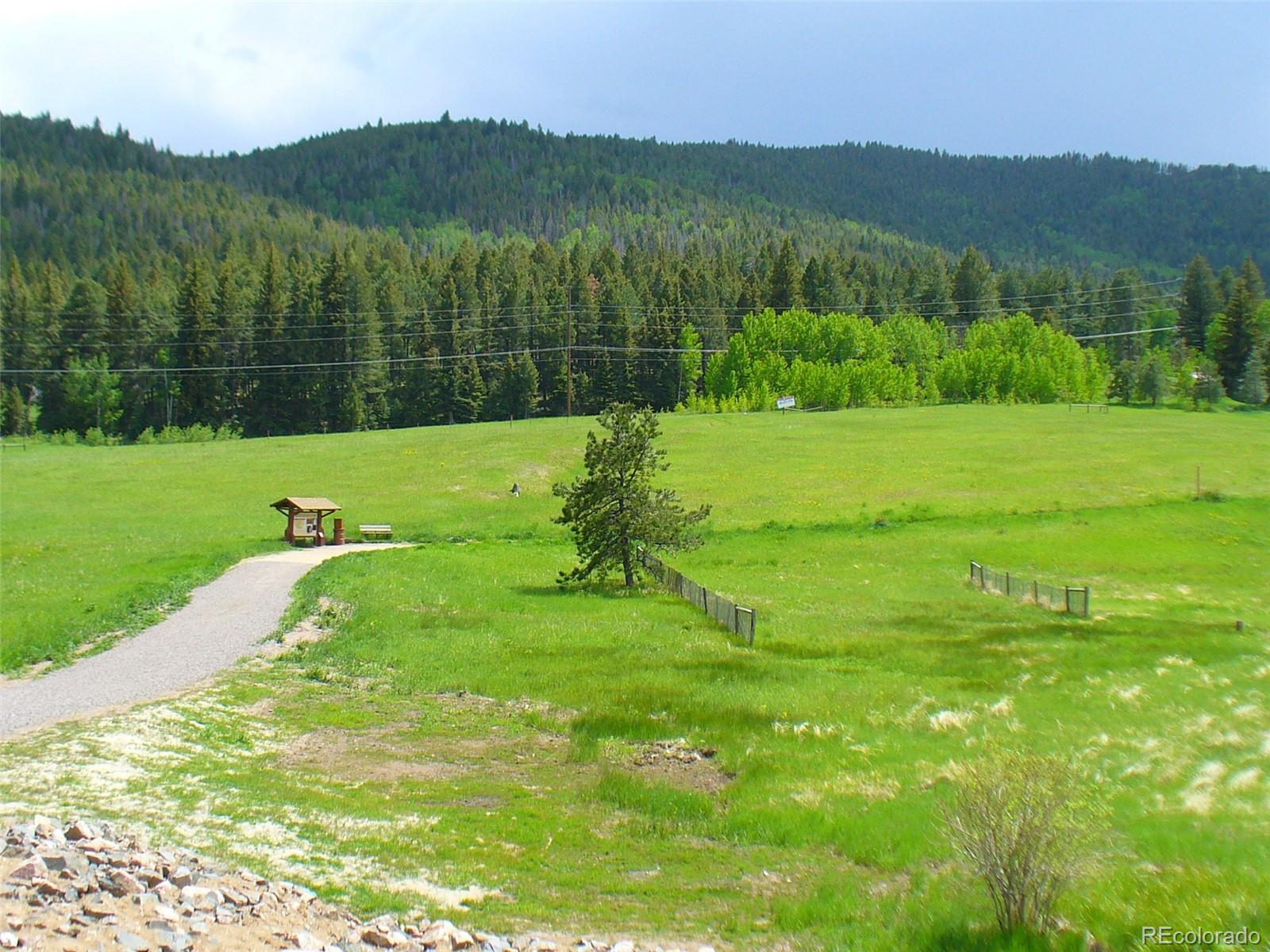 MLS Image #44 for 25694  stansbery street,conifer, Colorado