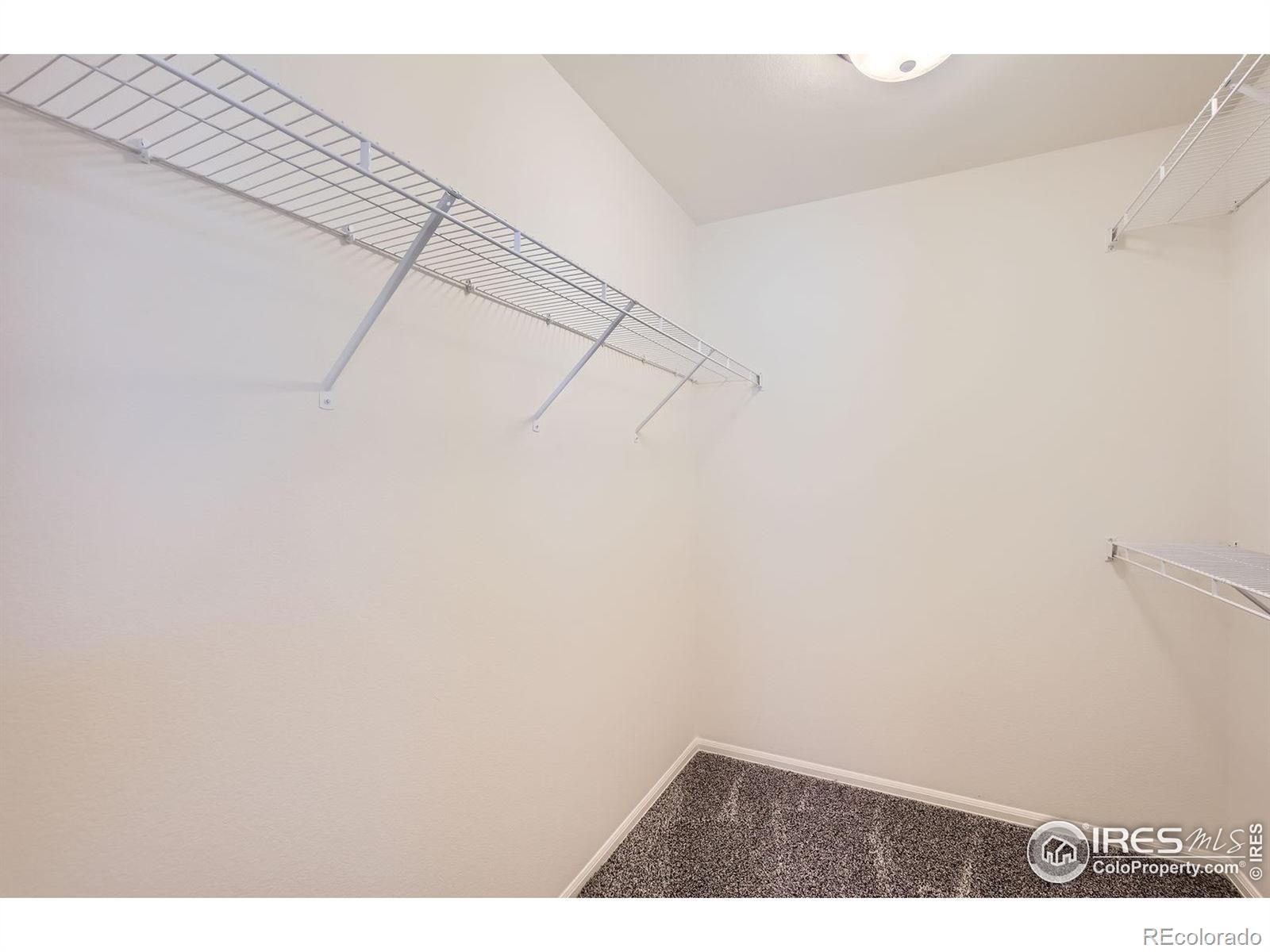 MLS Image #15 for 906  ashbrook drive,windsor, Colorado