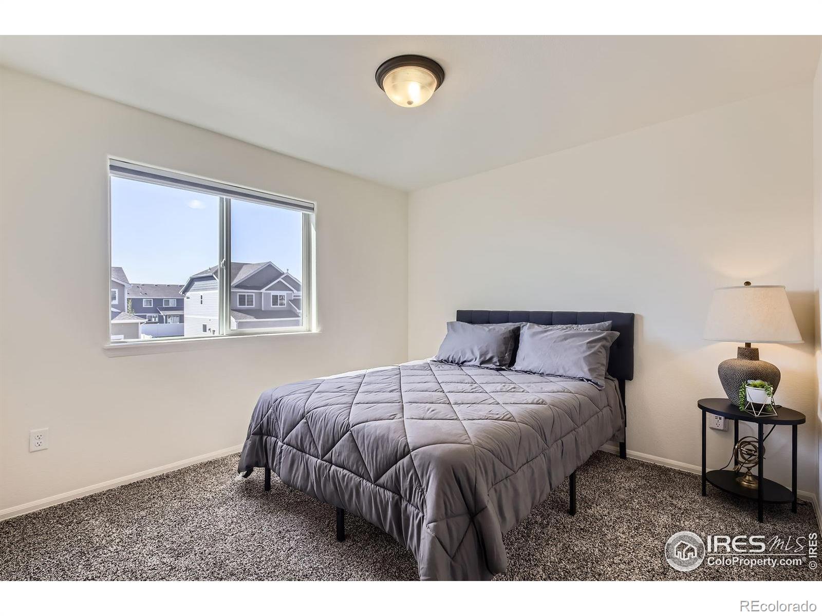 MLS Image #17 for 906  ashbrook drive,windsor, Colorado