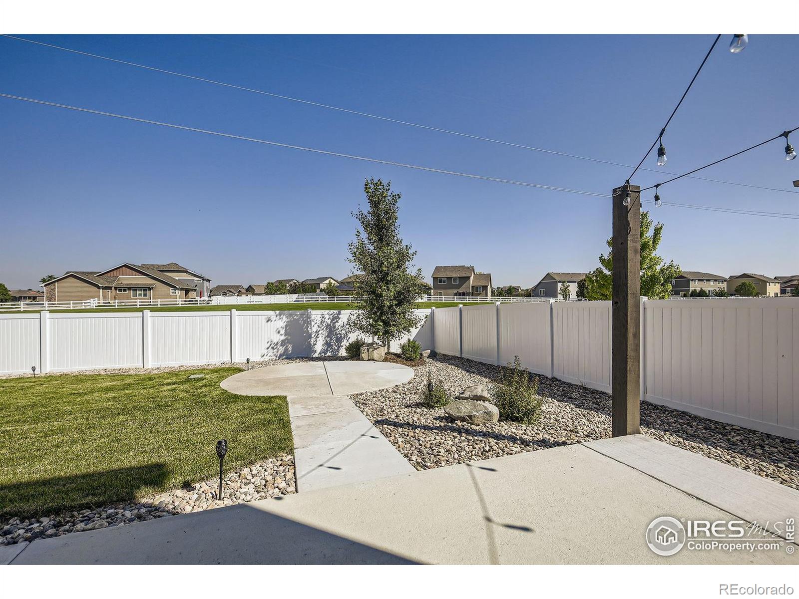MLS Image #4 for 906  ashbrook drive,windsor, Colorado