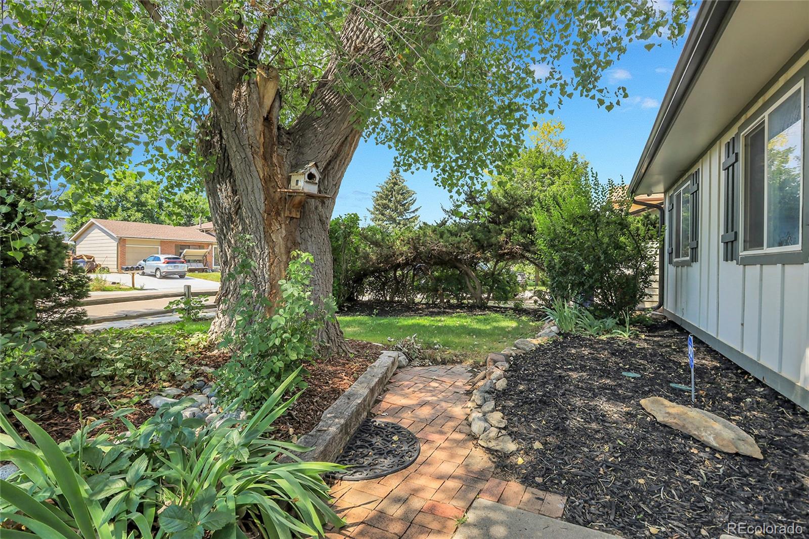 MLS Image #4 for 12593 w grand drive,morrison, Colorado