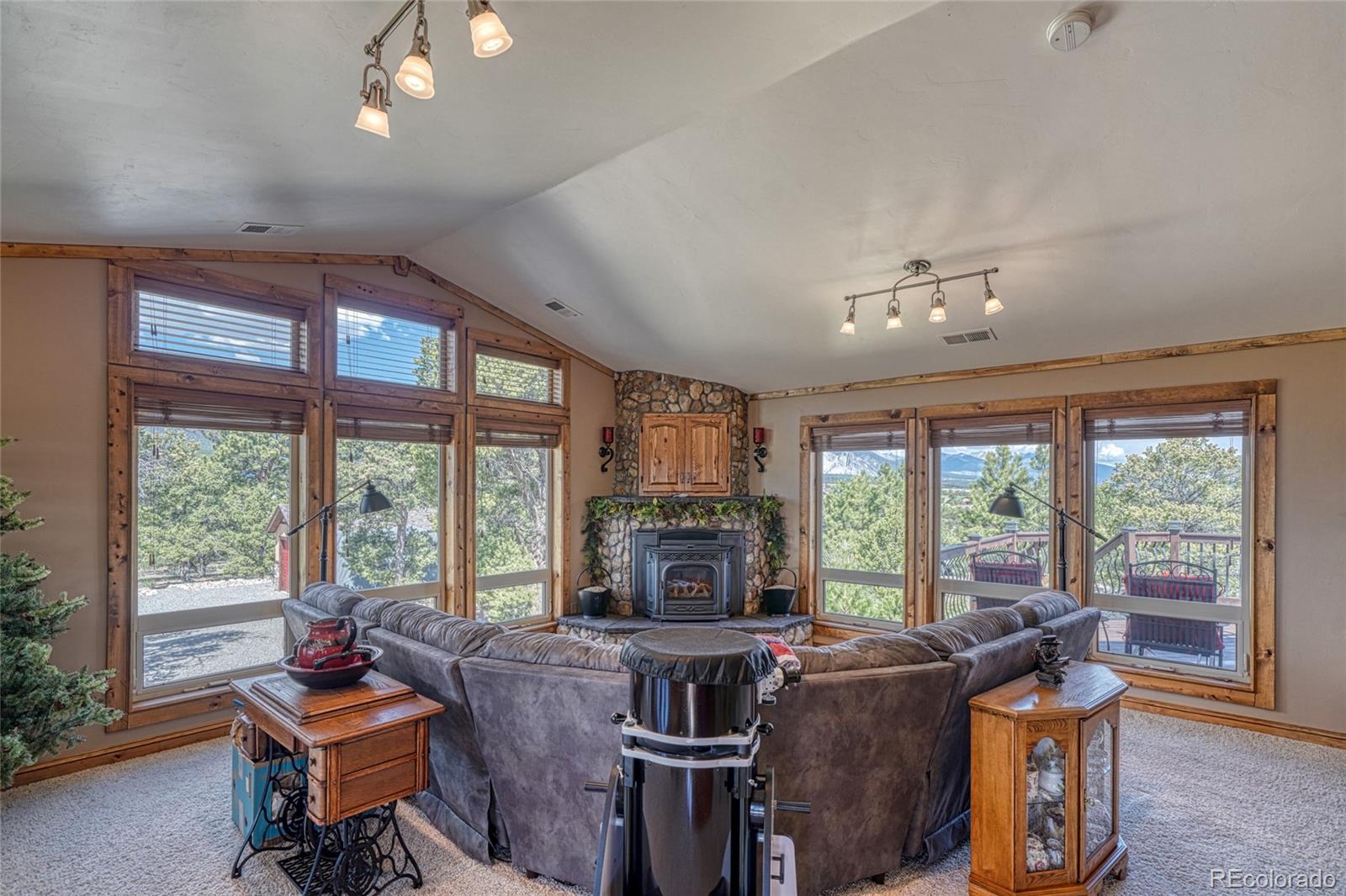 MLS Image #20 for 12850  county road 261k ,nathrop, Colorado