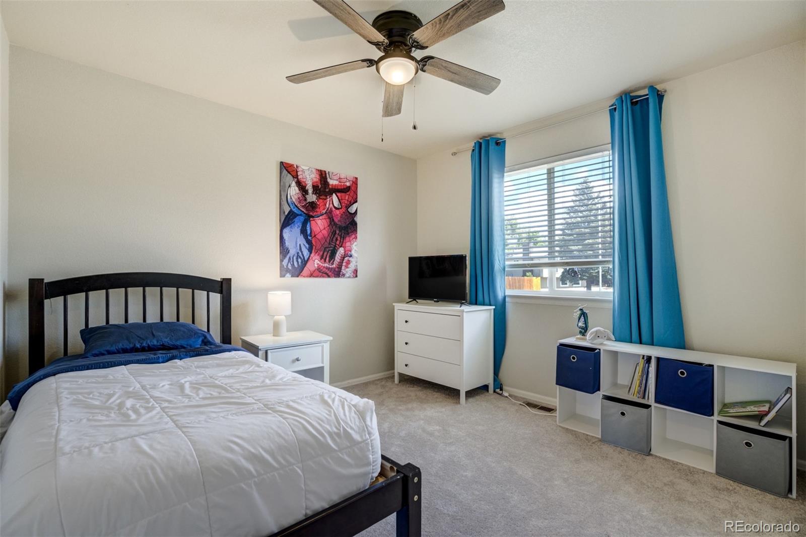 MLS Image #19 for 2456  sierra springs drive,colorado springs, Colorado