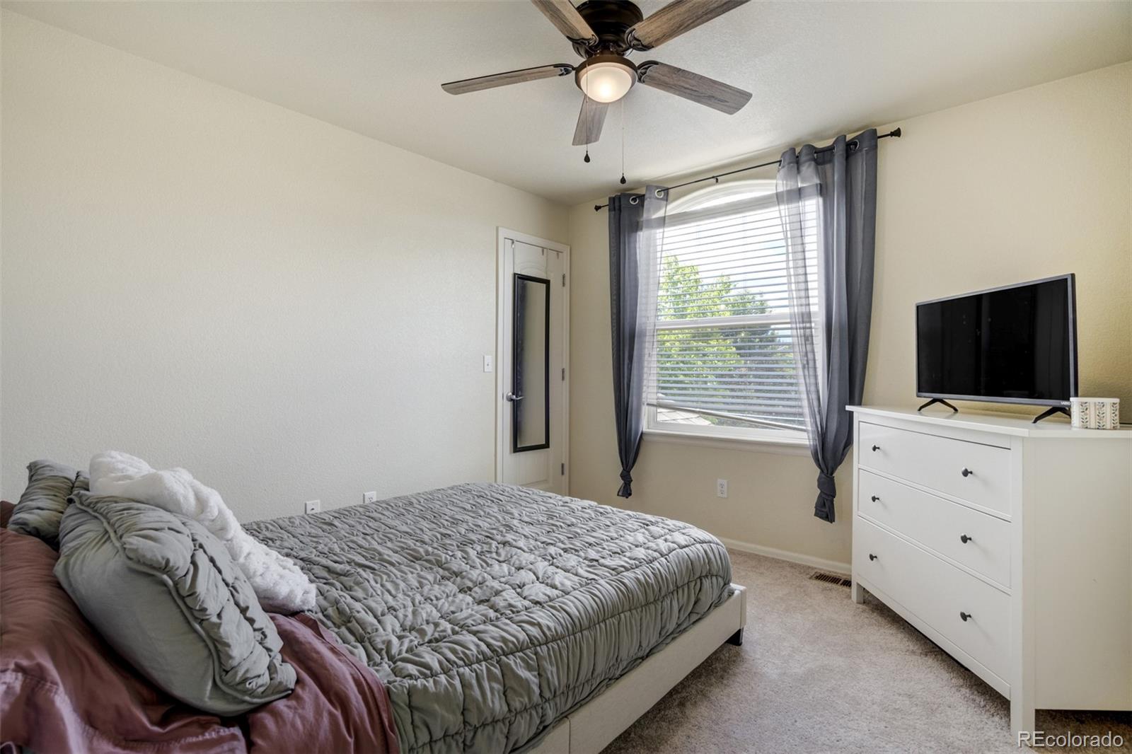 MLS Image #21 for 2456  sierra springs drive,colorado springs, Colorado