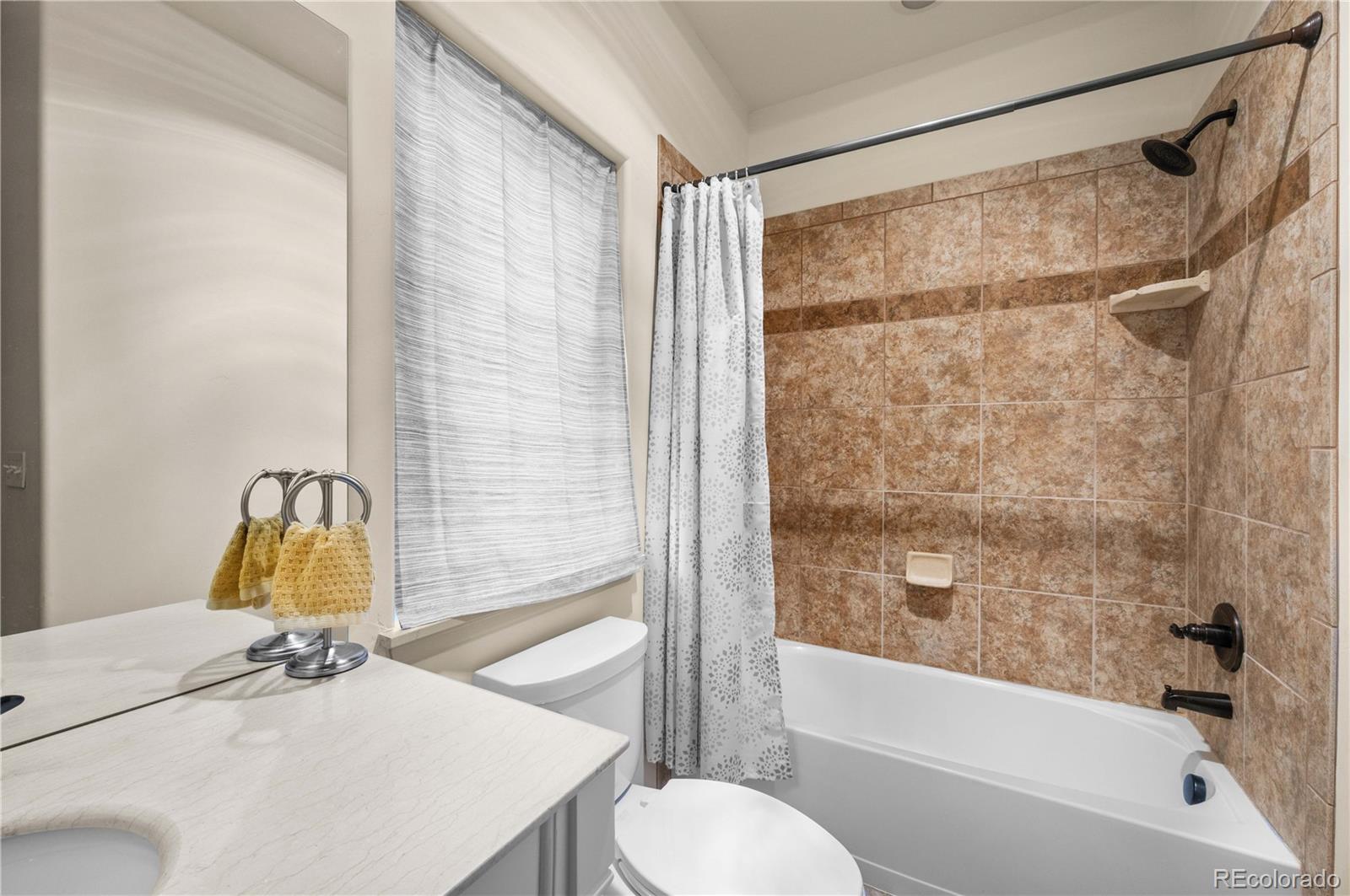 MLS Image #16 for 106  red tail boulevard,buena vista, Colorado