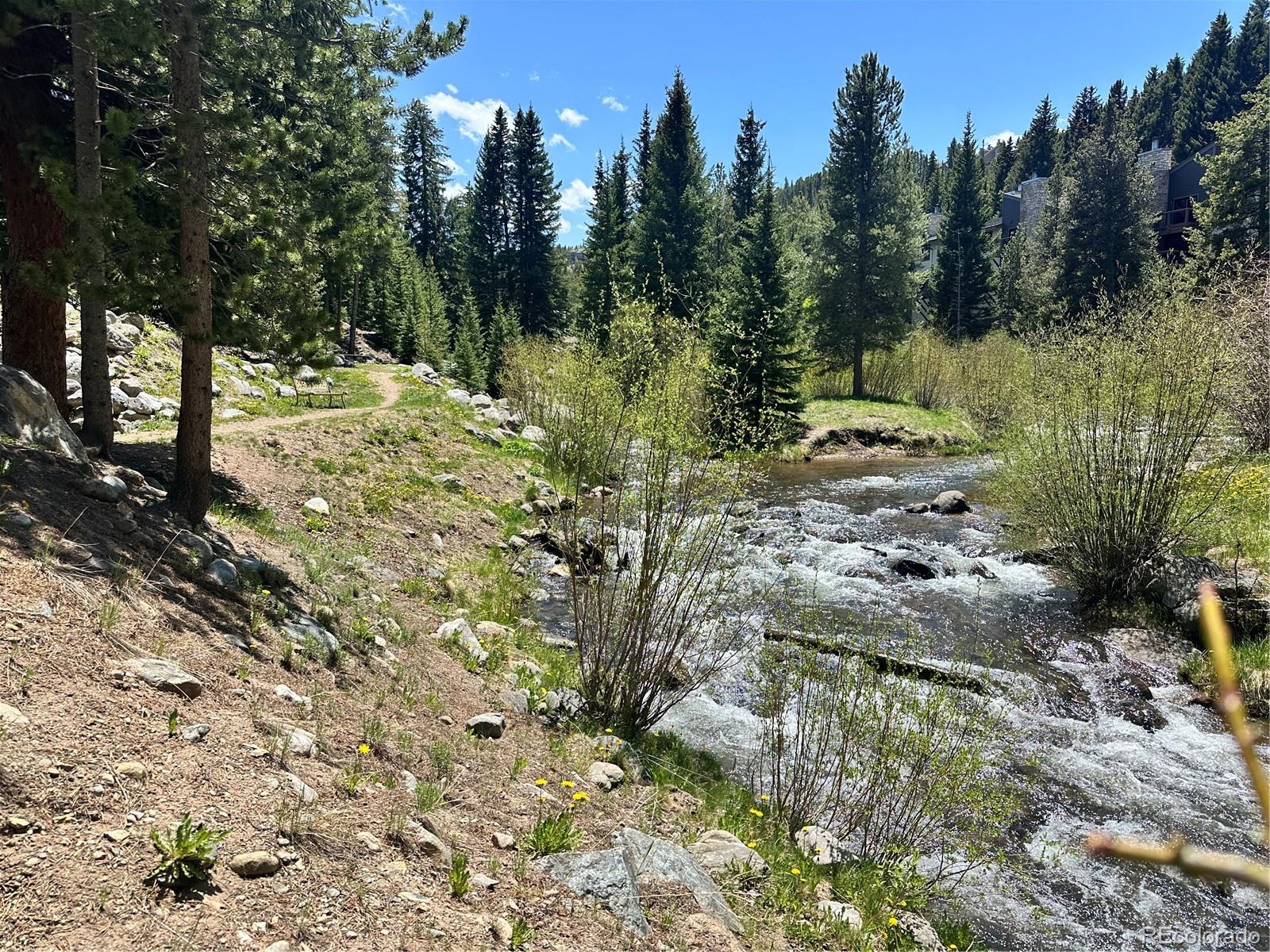 MLS Image #33 for 815  columbine road,breckenridge, Colorado