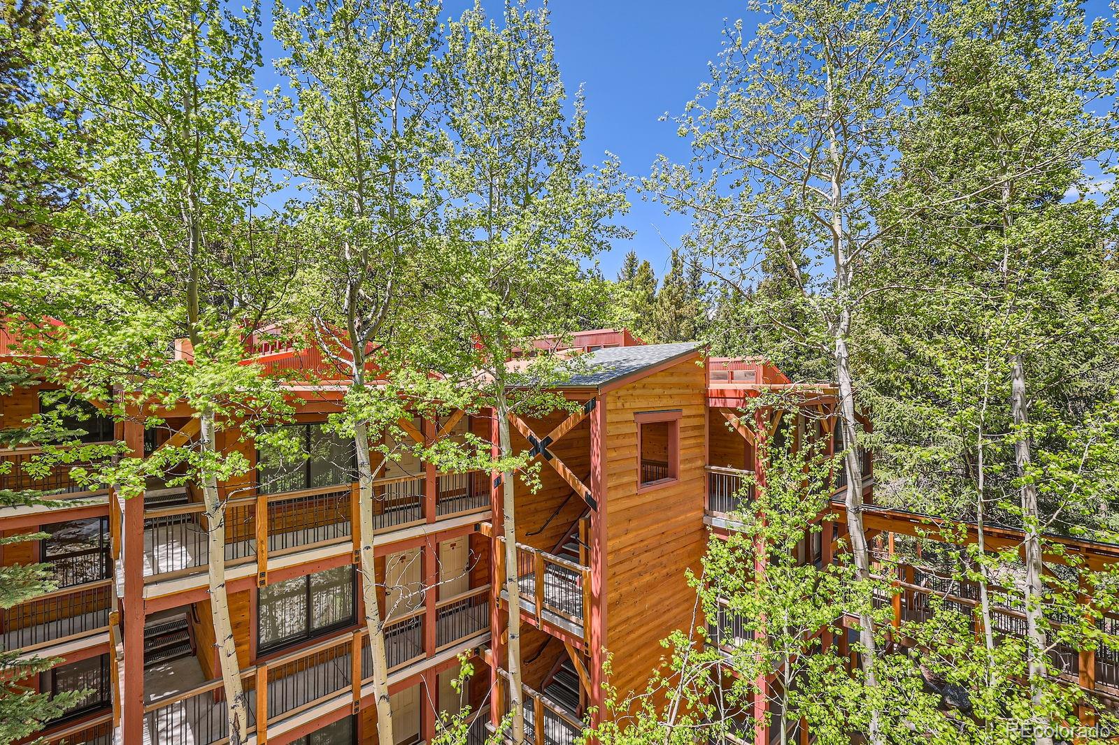 MLS Image #35 for 815  columbine road,breckenridge, Colorado