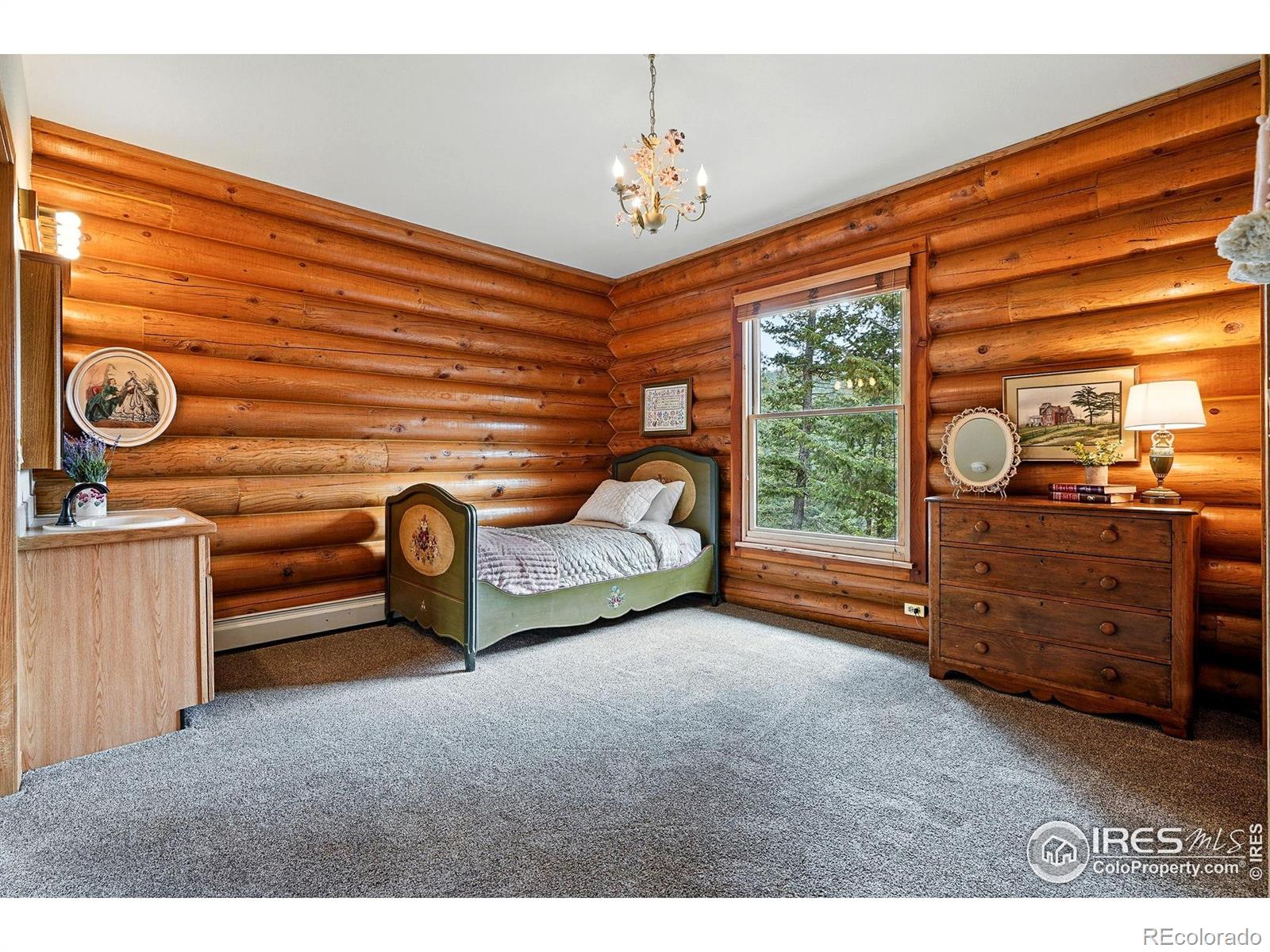 MLS Image #17 for 11997  coal creek heights drive,golden, Colorado