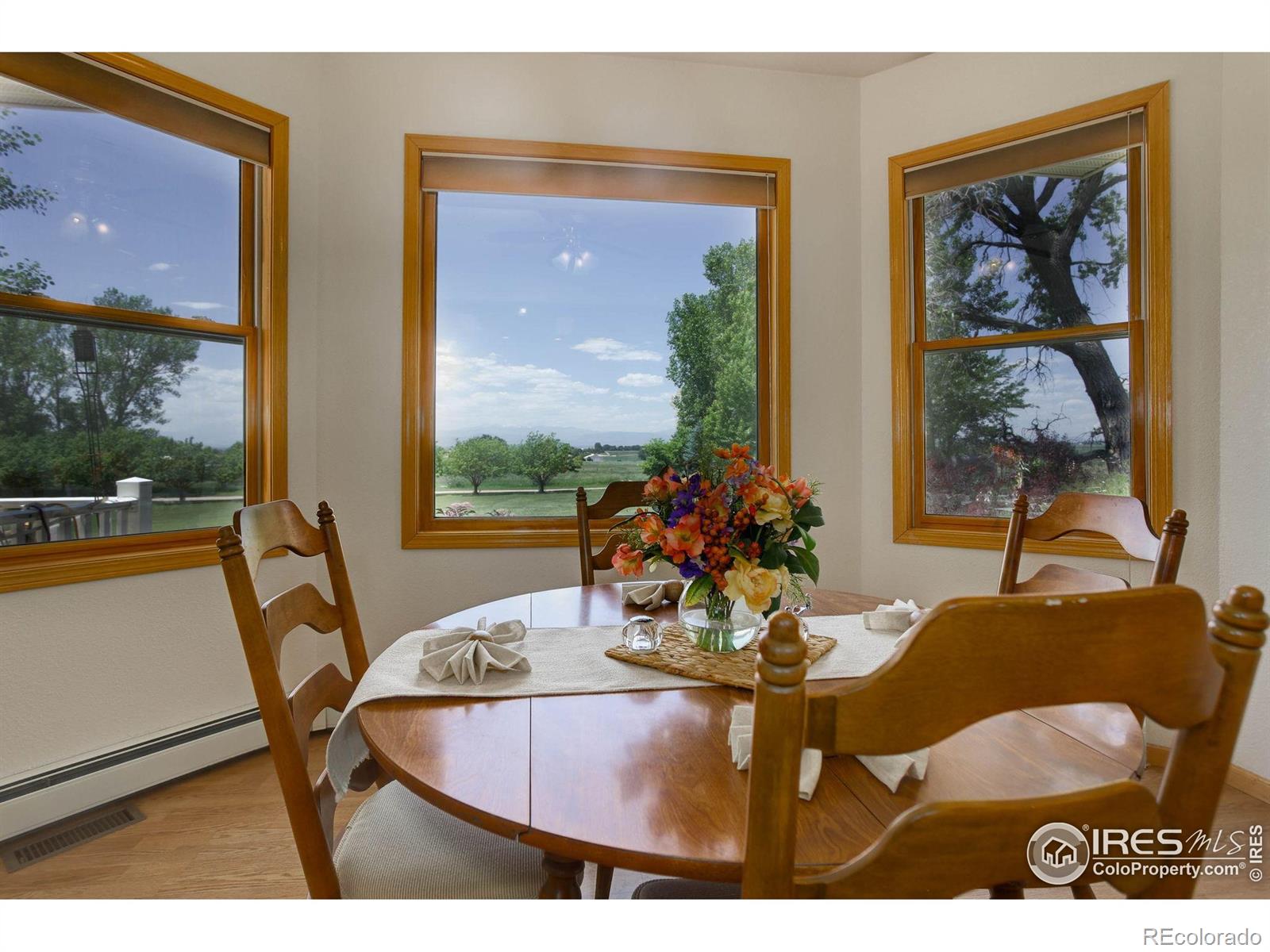 MLS Image #10 for 8943  gander valley lane,windsor, Colorado