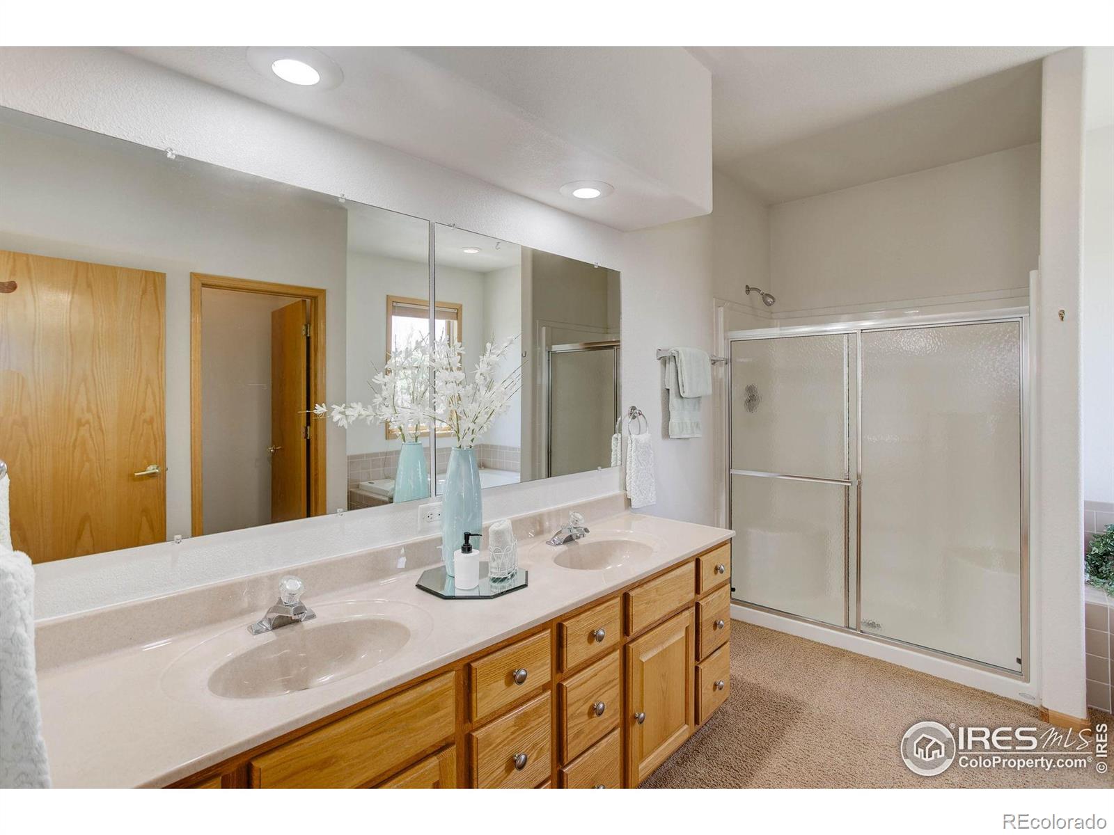 MLS Image #18 for 8943  gander valley lane,windsor, Colorado
