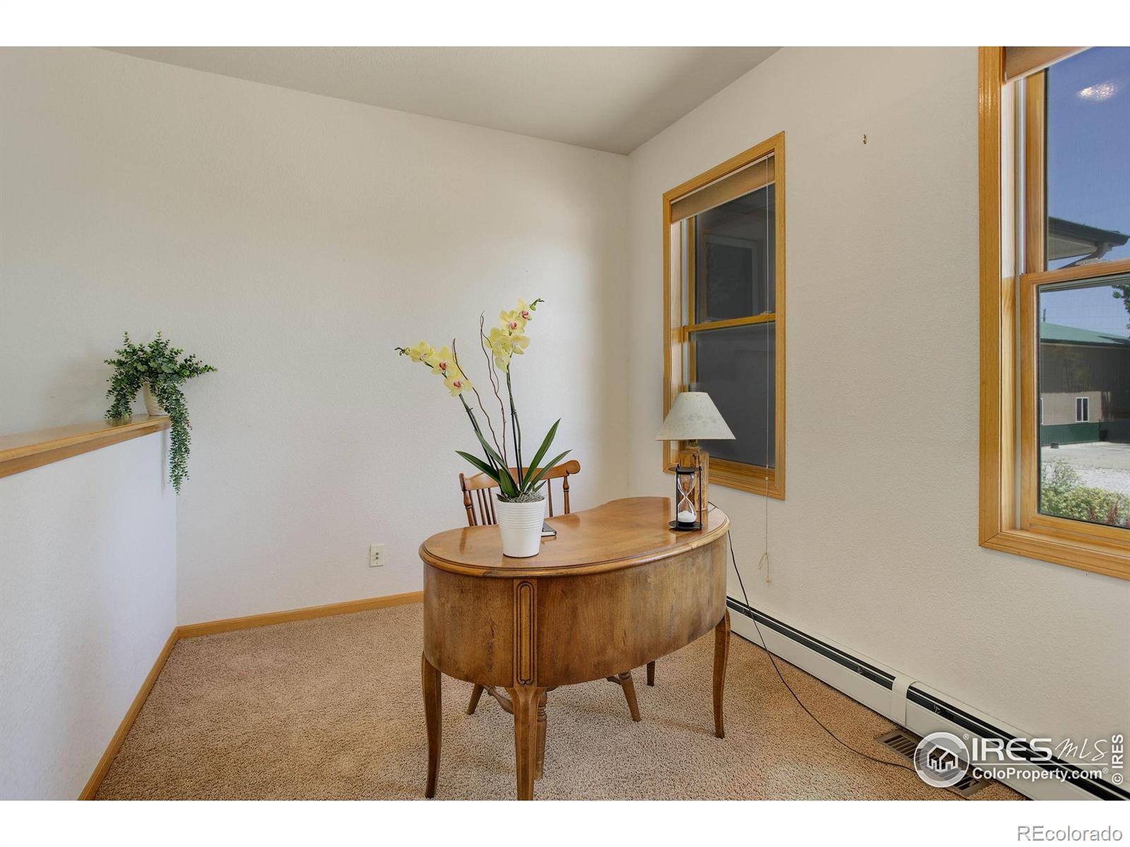 MLS Image #20 for 8943  gander valley lane,windsor, Colorado
