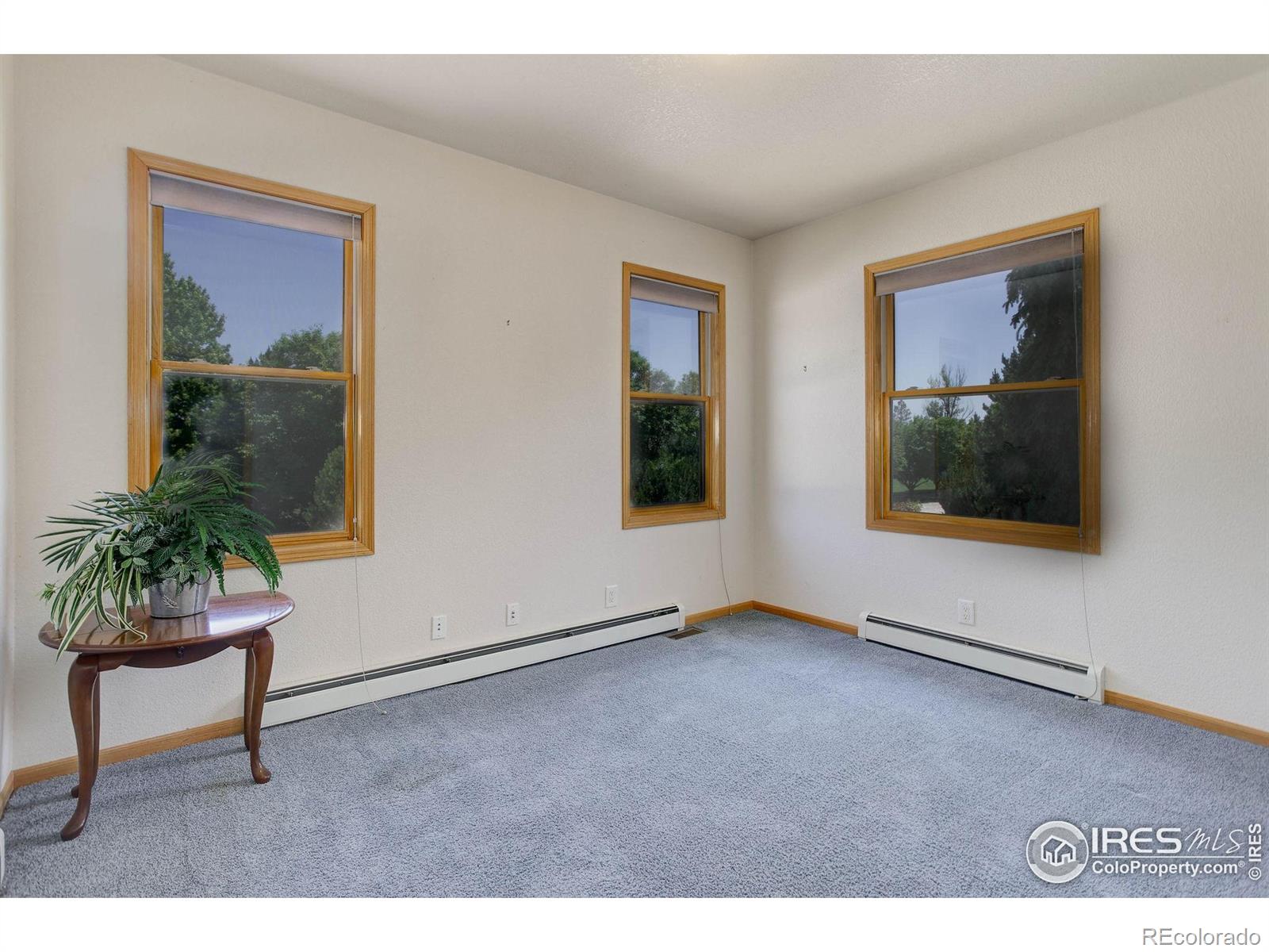MLS Image #23 for 8943  gander valley lane,windsor, Colorado